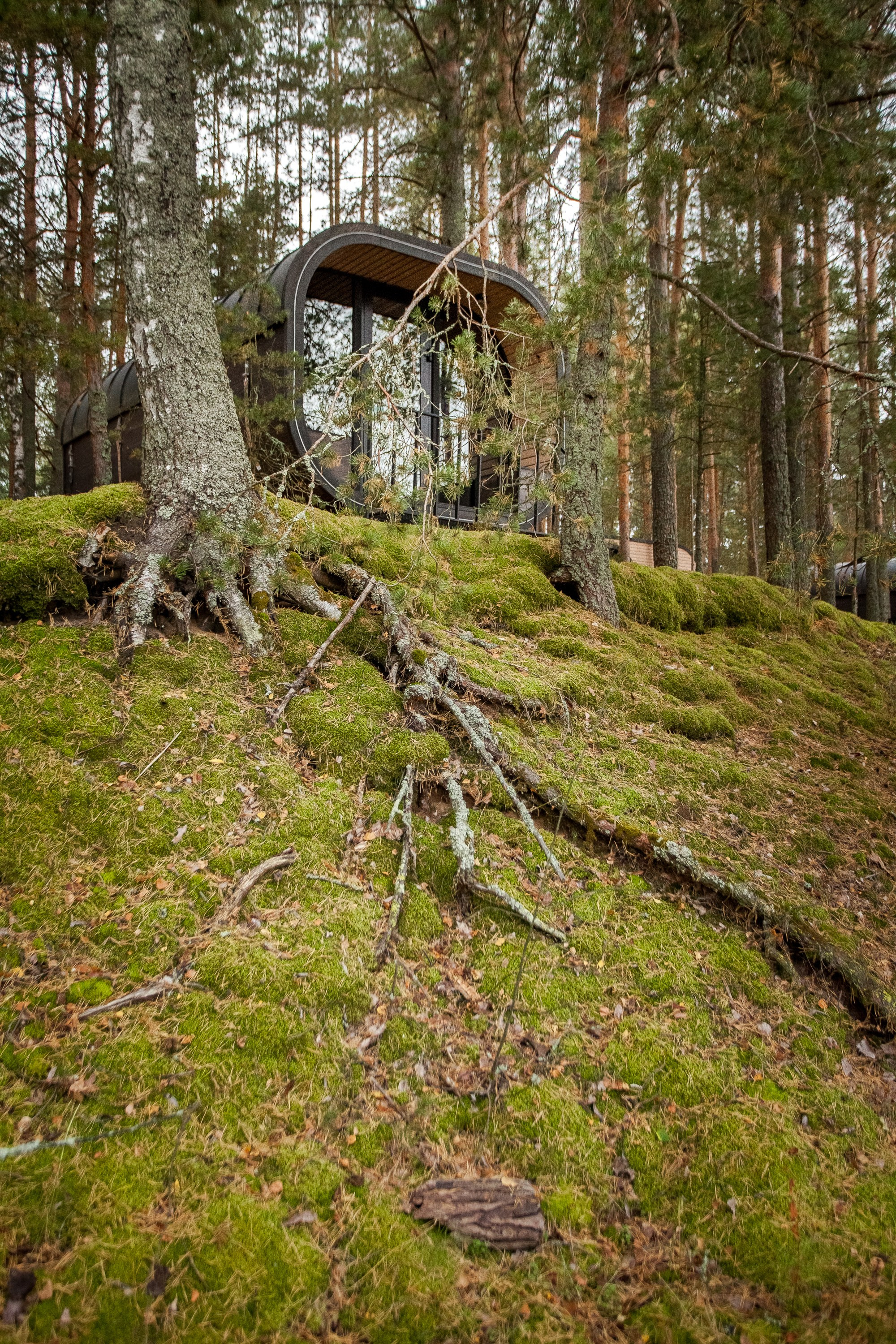 Остров «Свободы». Туманов Виталий — фотограф Москва