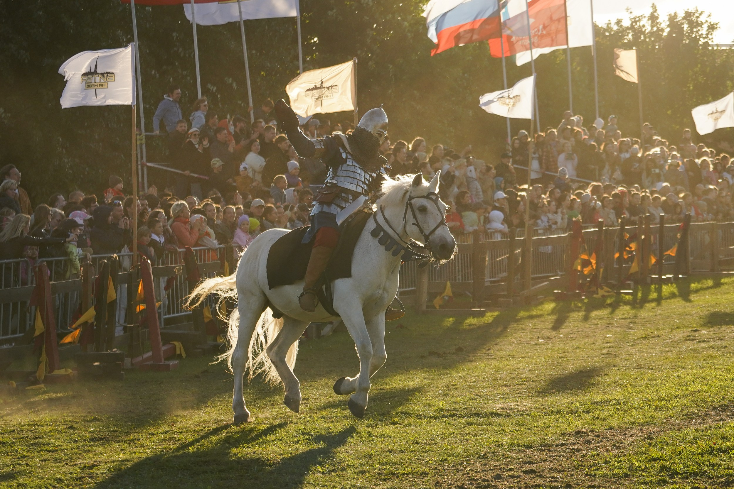 Рыцарский турнир в рамках фестиваля «Битва на Неве» Санкт-Петербург 2024 г. Фотограф-анималист, портретный фотограф в Чебоксарах Мария Садыкова