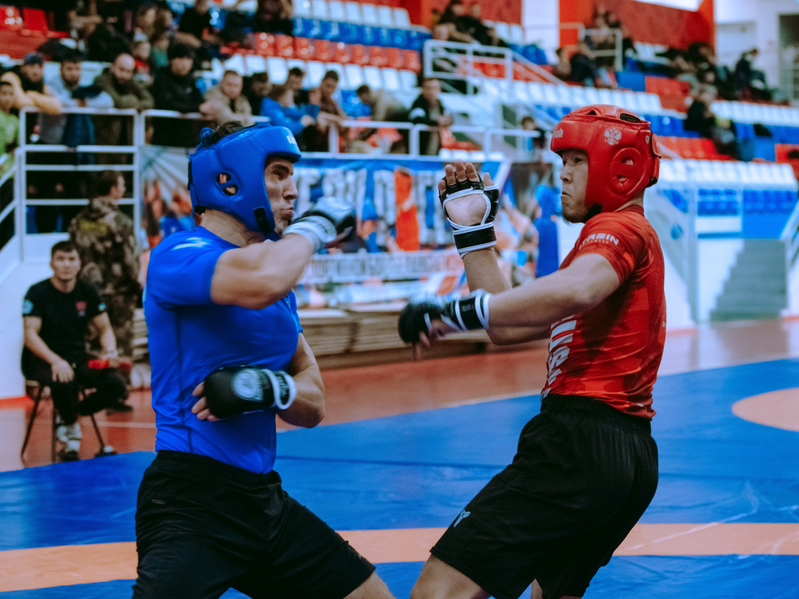 Кубок России по спортивной борьбе панкратион `23. Портретный фотограф в Москве Дарья Цезария