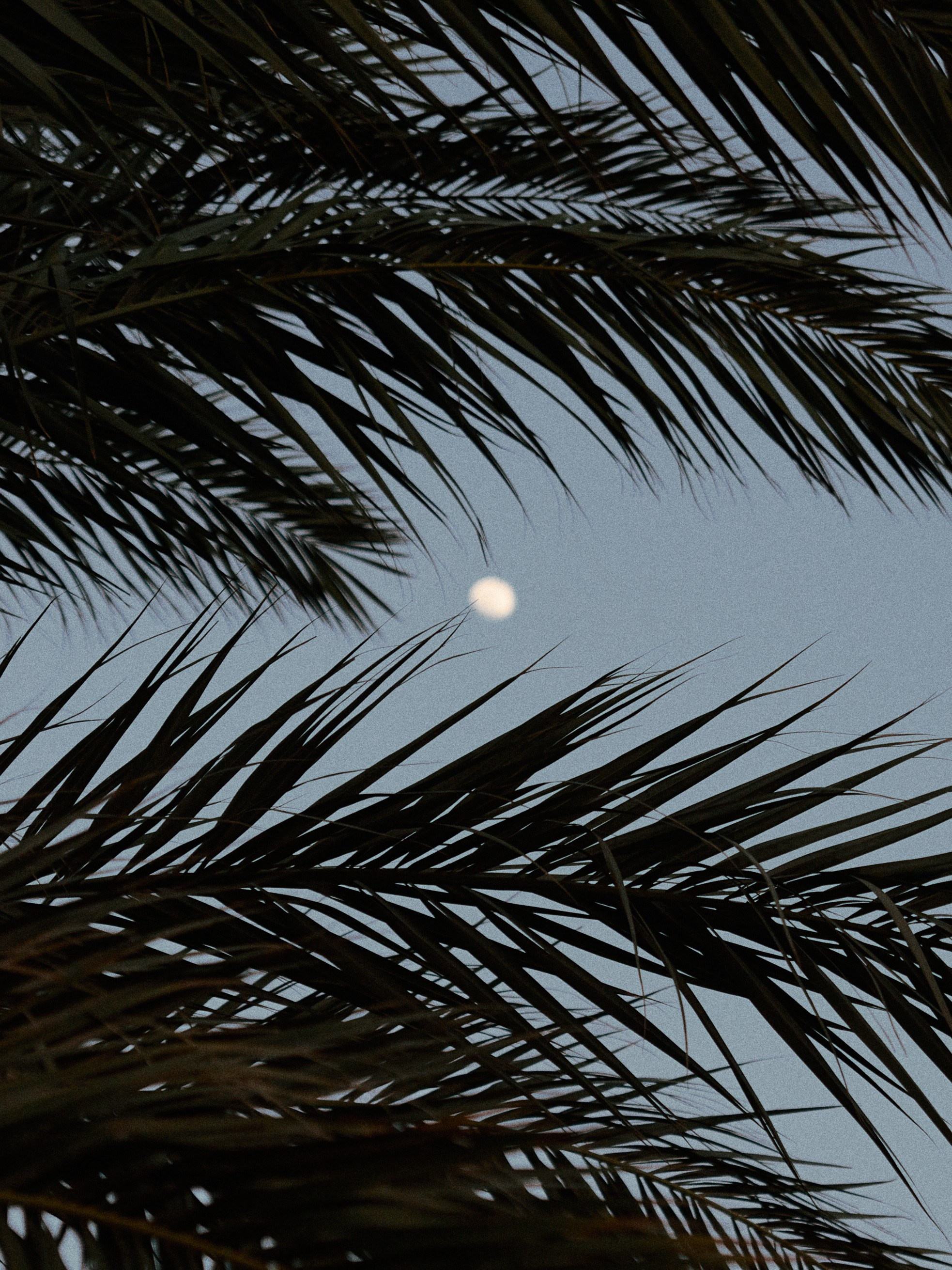 Диптих. Jorgis — фотограф в Хургаде / обучение фотографии