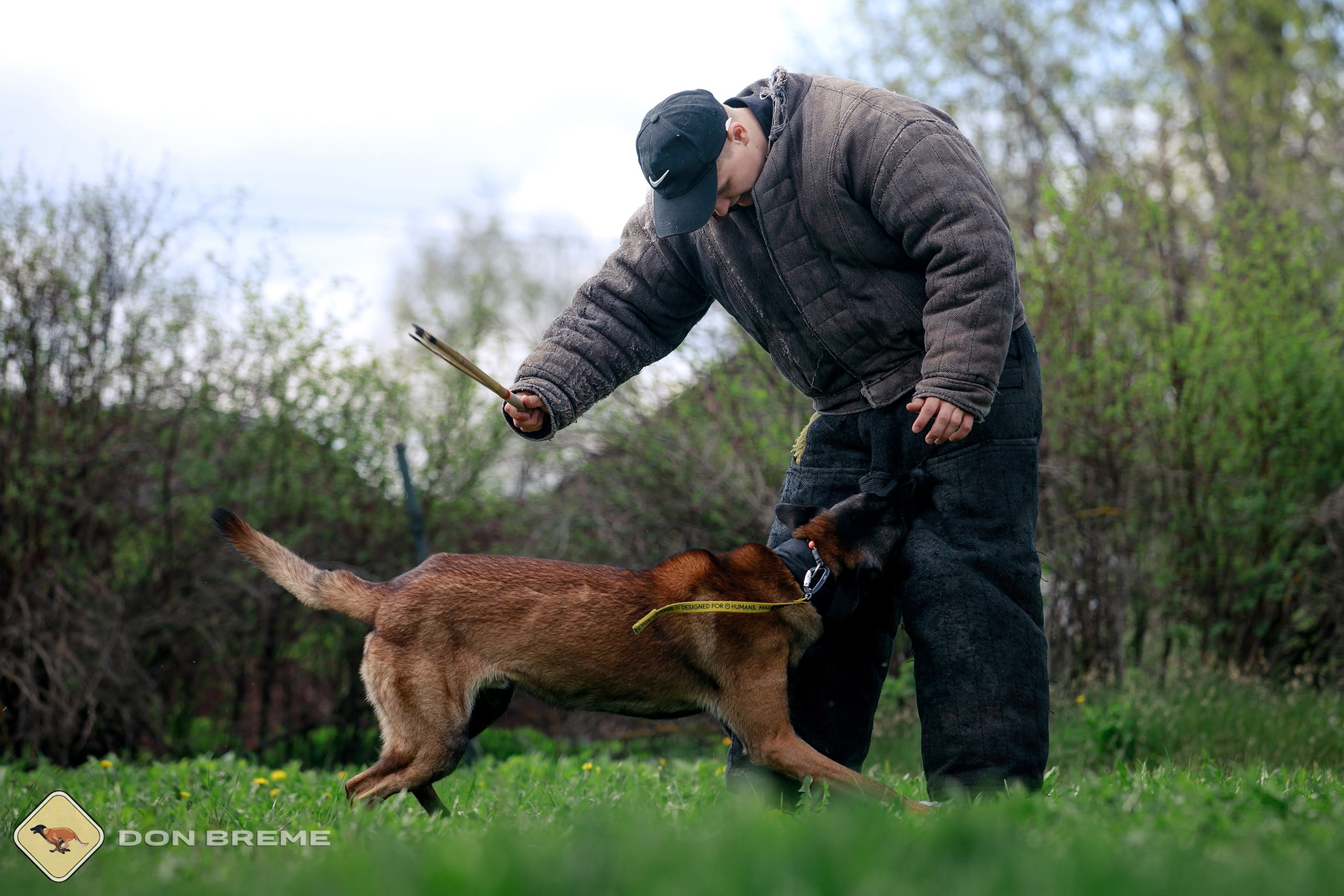 Семинар для фигурантов, день 2. Фотограф-анималист Mary Mart — Москва, Питер