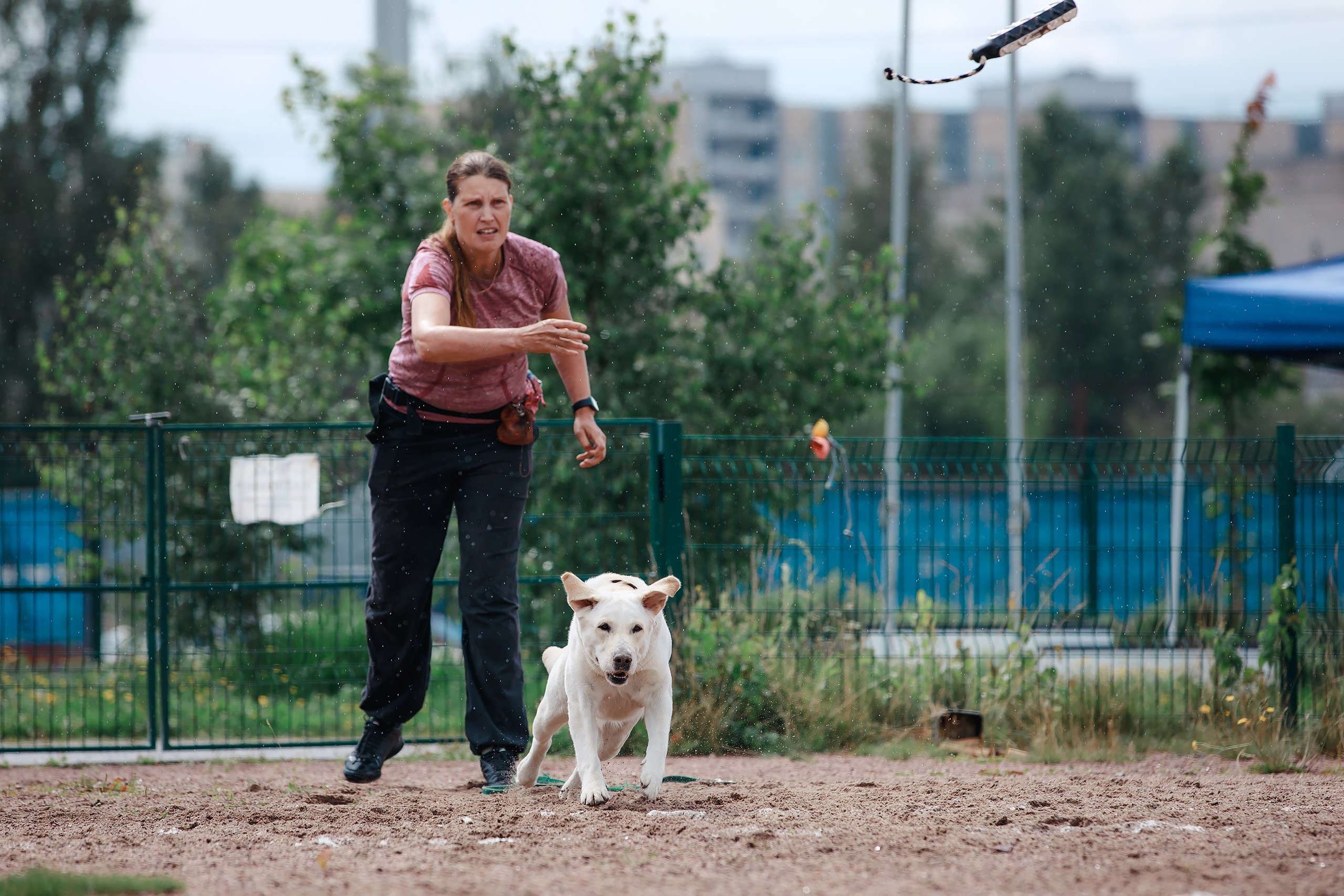 Питч&Гоу + веселые старты. Фотограф-анималист Mary Mart — Москва, Питер