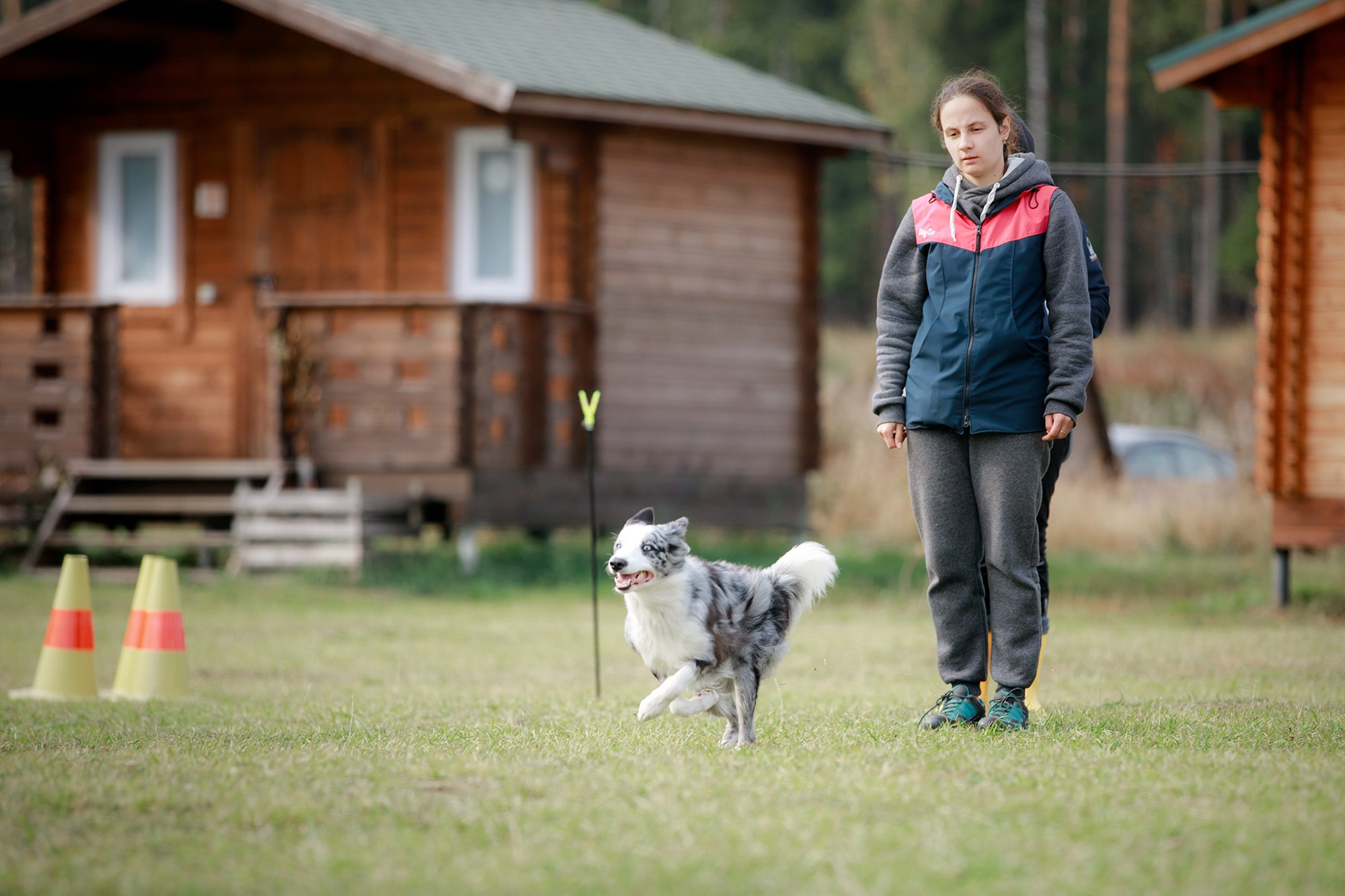 Лагерь по ОБД с Инной Баженовой. Фотограф-анималист Mary Mart — Москва, Питер