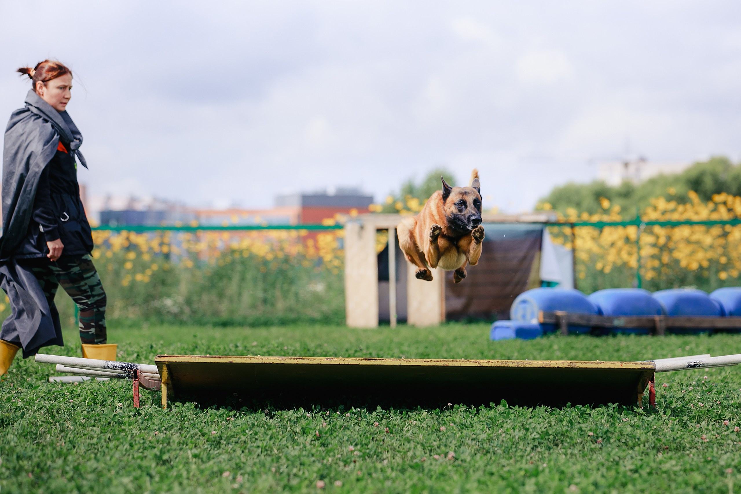 Мондьоринг М1, М2, М3, Вологда. Фотограф-анималист Mary Mart — Москва, Питер