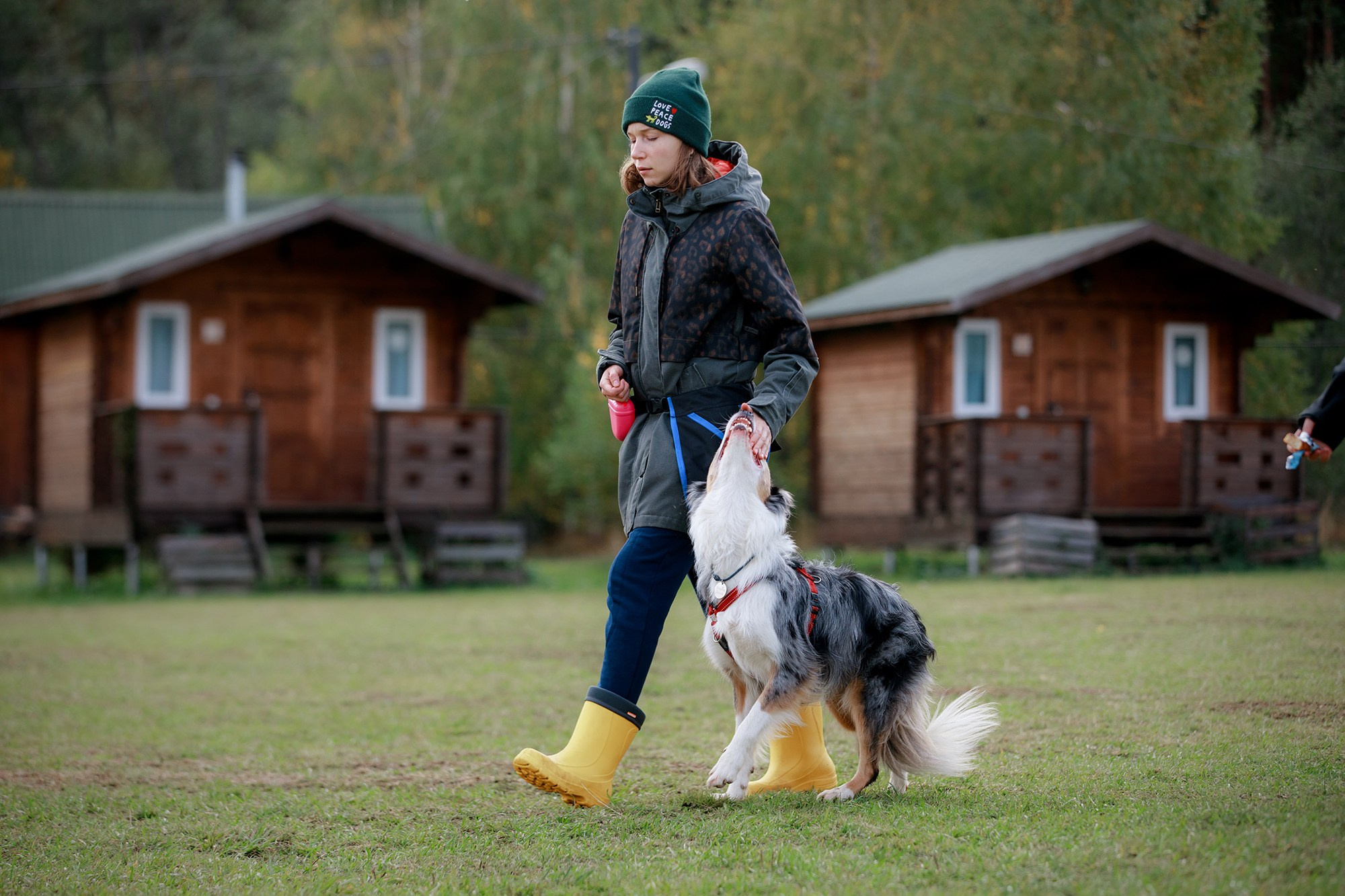 Лагерь по ОБД с Инной Баженовой. Фотограф-анималист Mary Mart — Москва, Питер