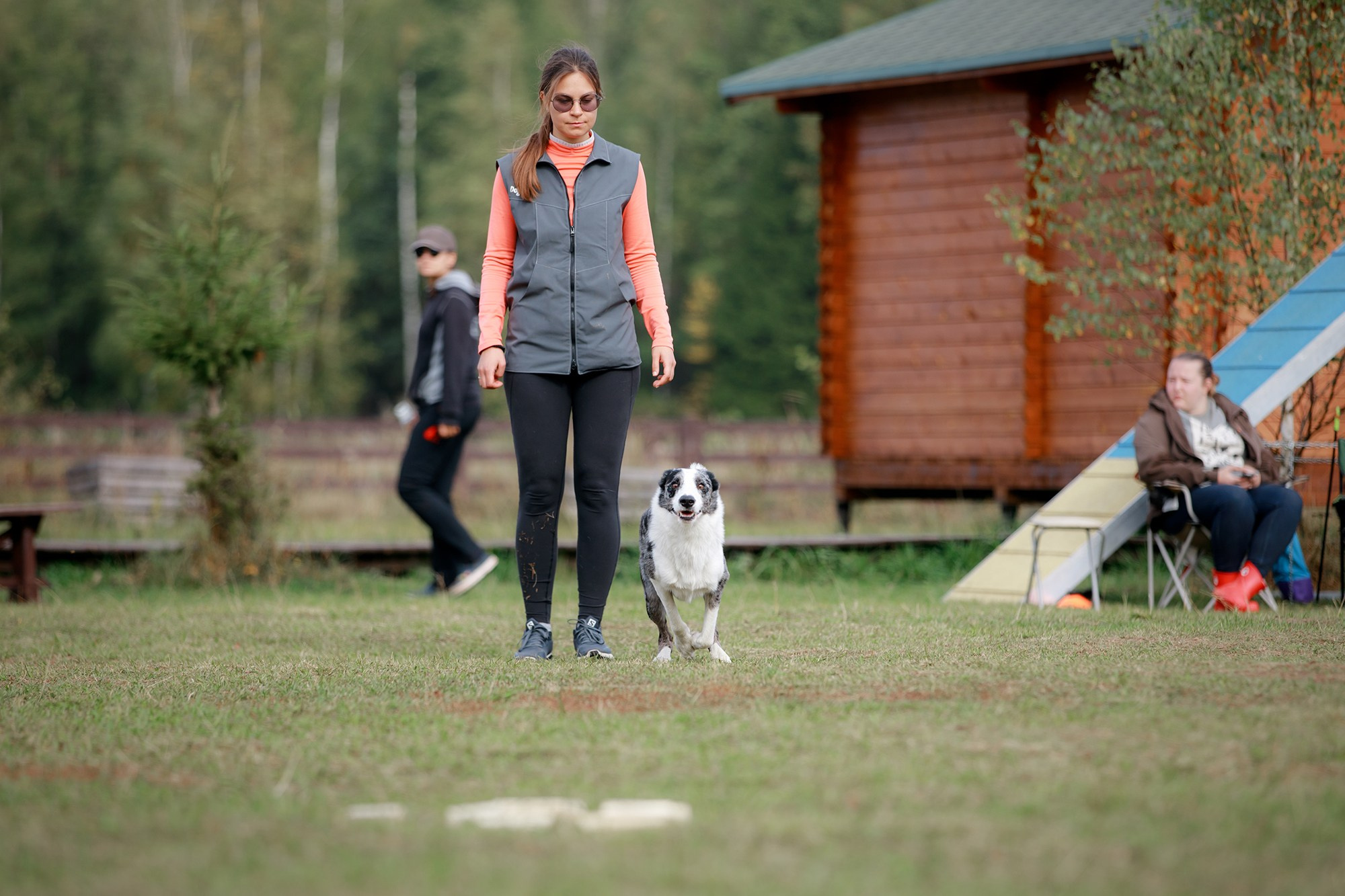 Лагерь по ОБД с Инной Баженовой. Фотограф-анималист Mary Mart — Москва, Питер