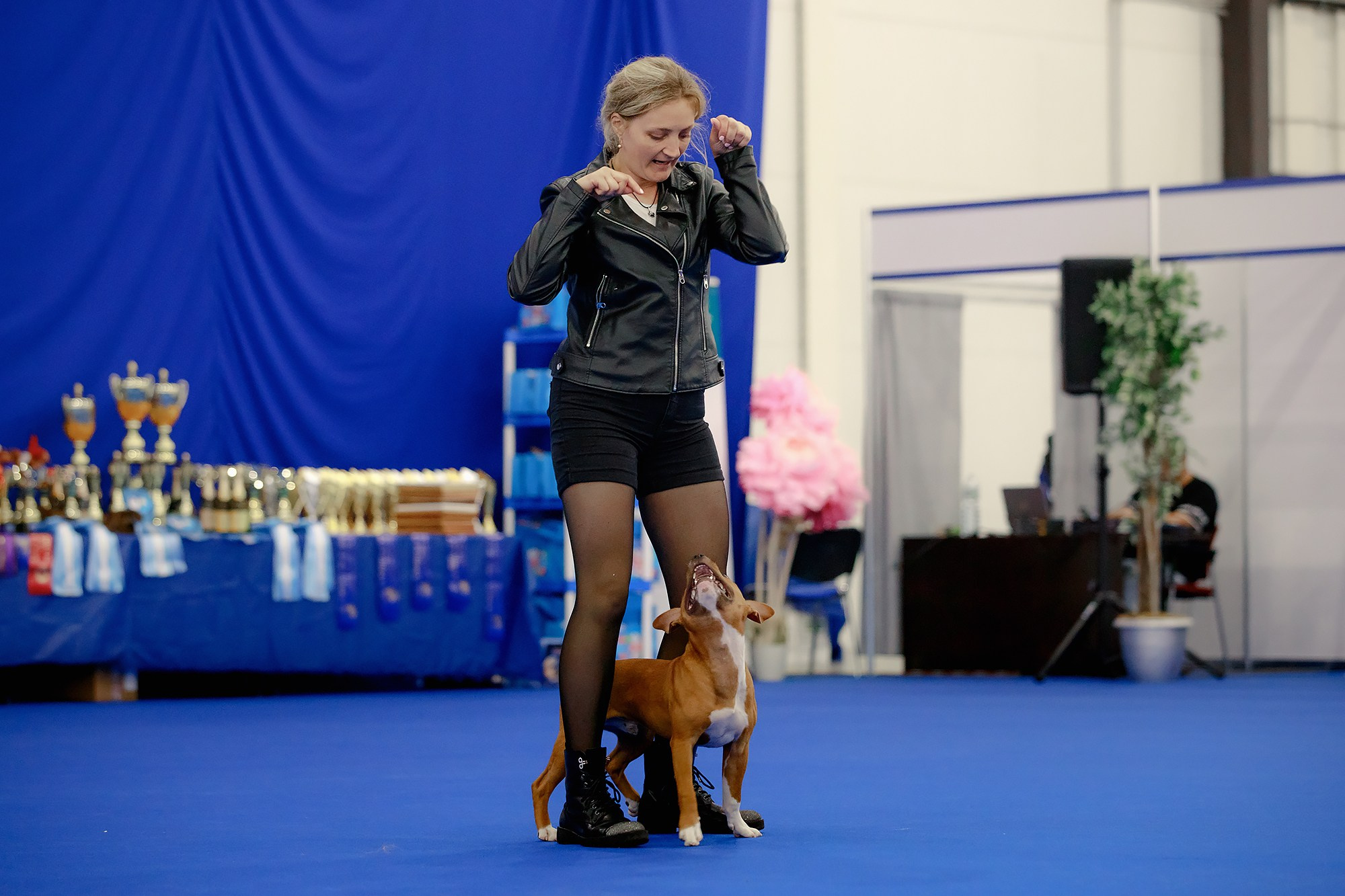 Танцы на выставке «Зоошоу», СПб. Фотограф-анималист Mary Mart — Москва, Питер