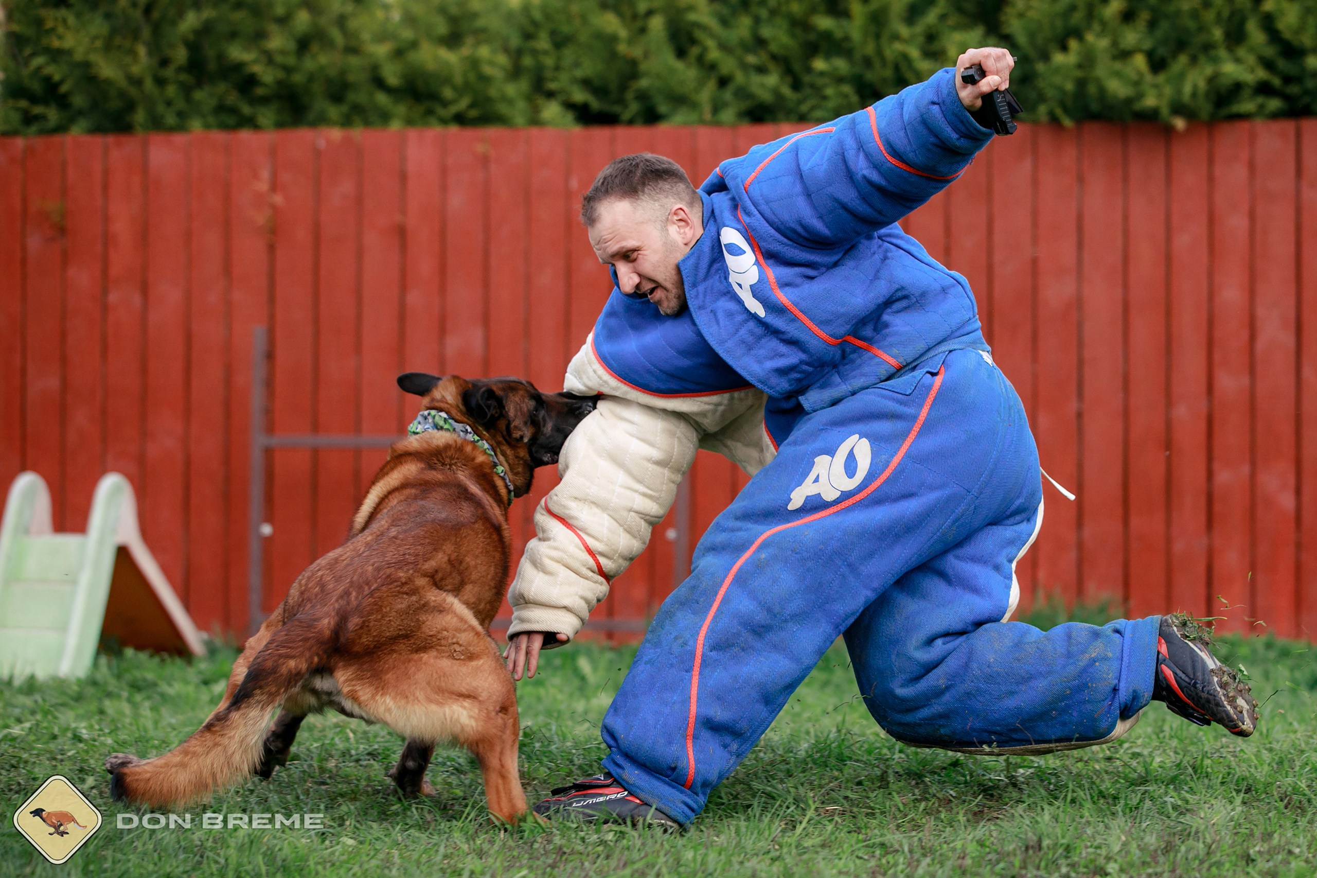 Семинар для фигурантов, день 2. Фотограф-анималист Mary Mart — Москва, Питер