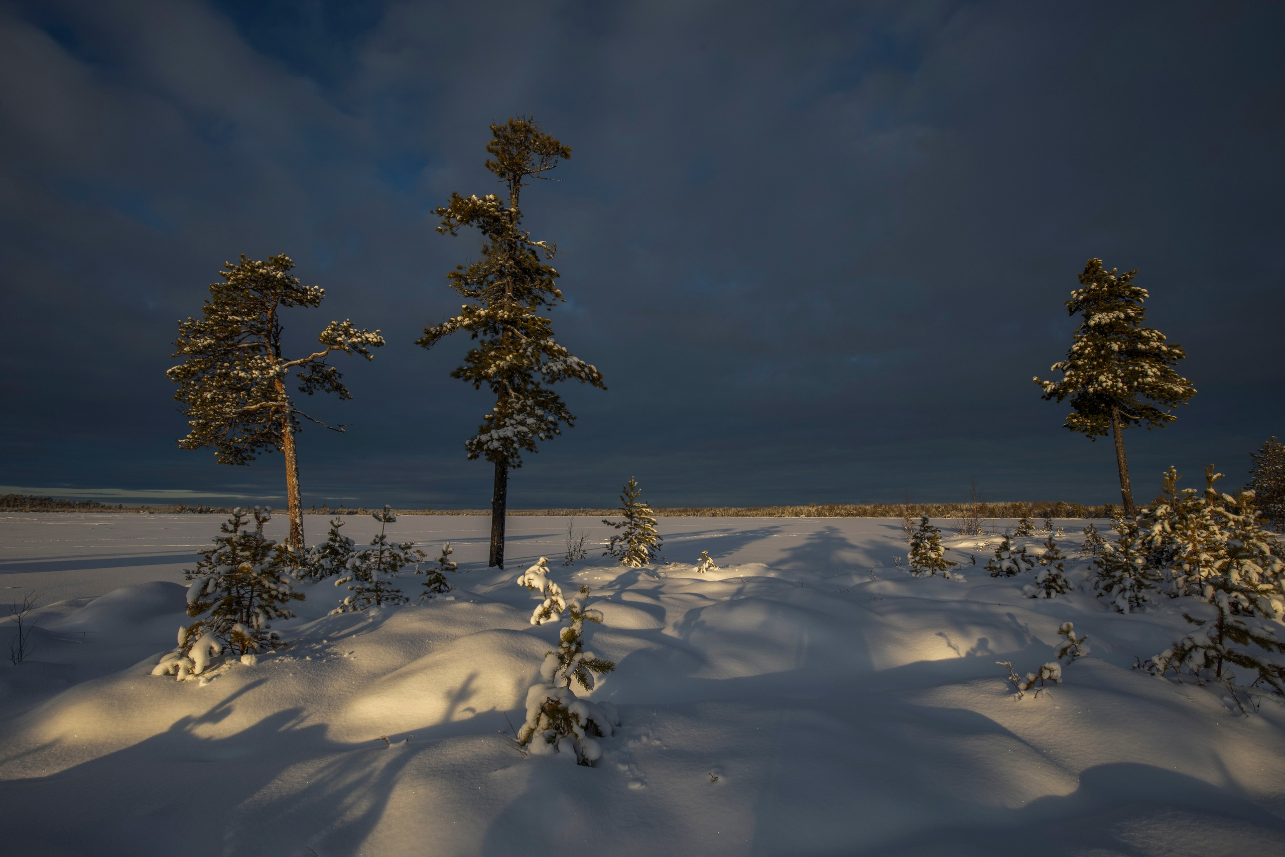 ПЕЙЗАЖИ. Фотограф Татьяна Борисова