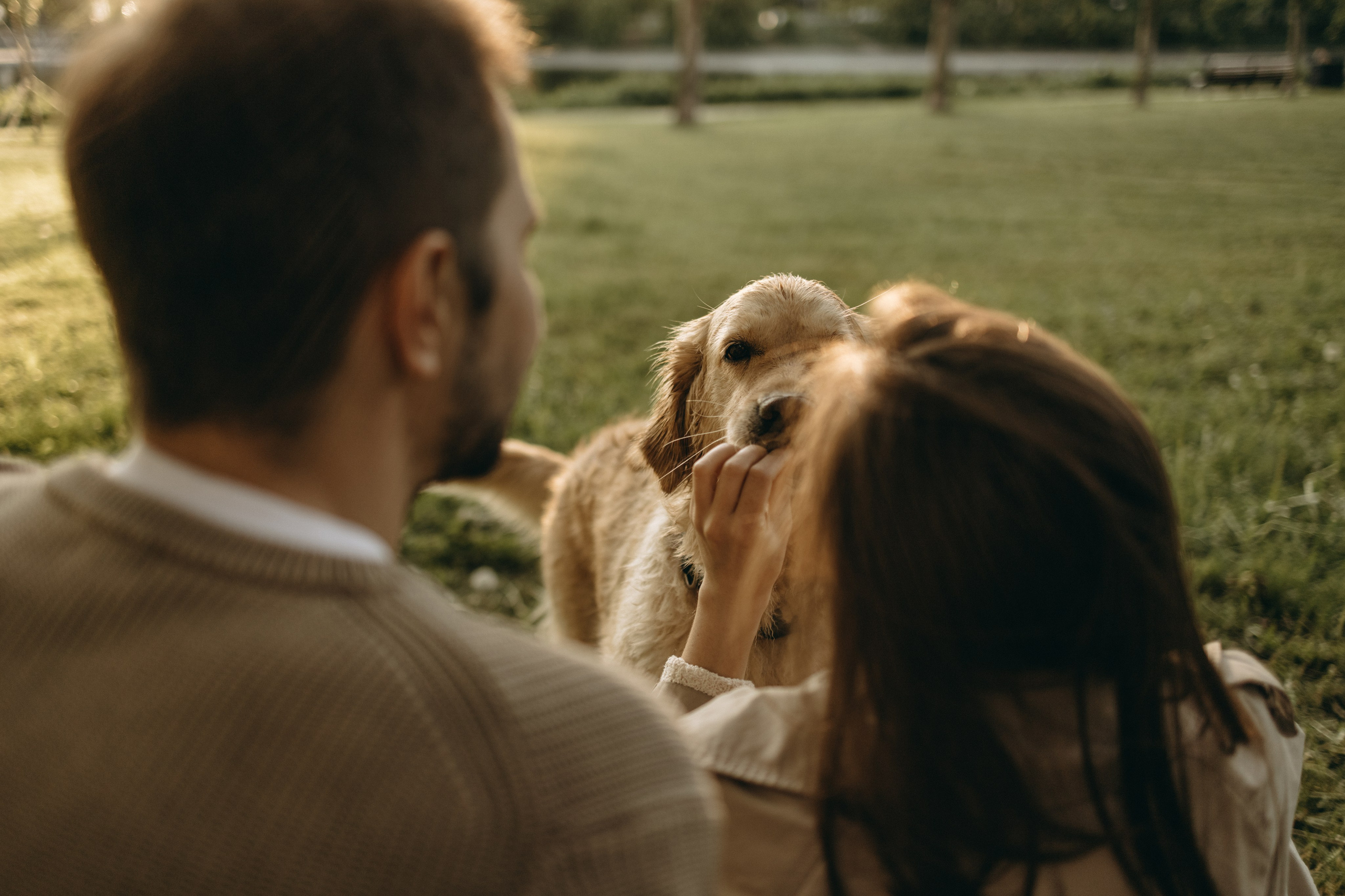 Пенни и ребята. Фотограф — Анималист | Санкт-Петербург