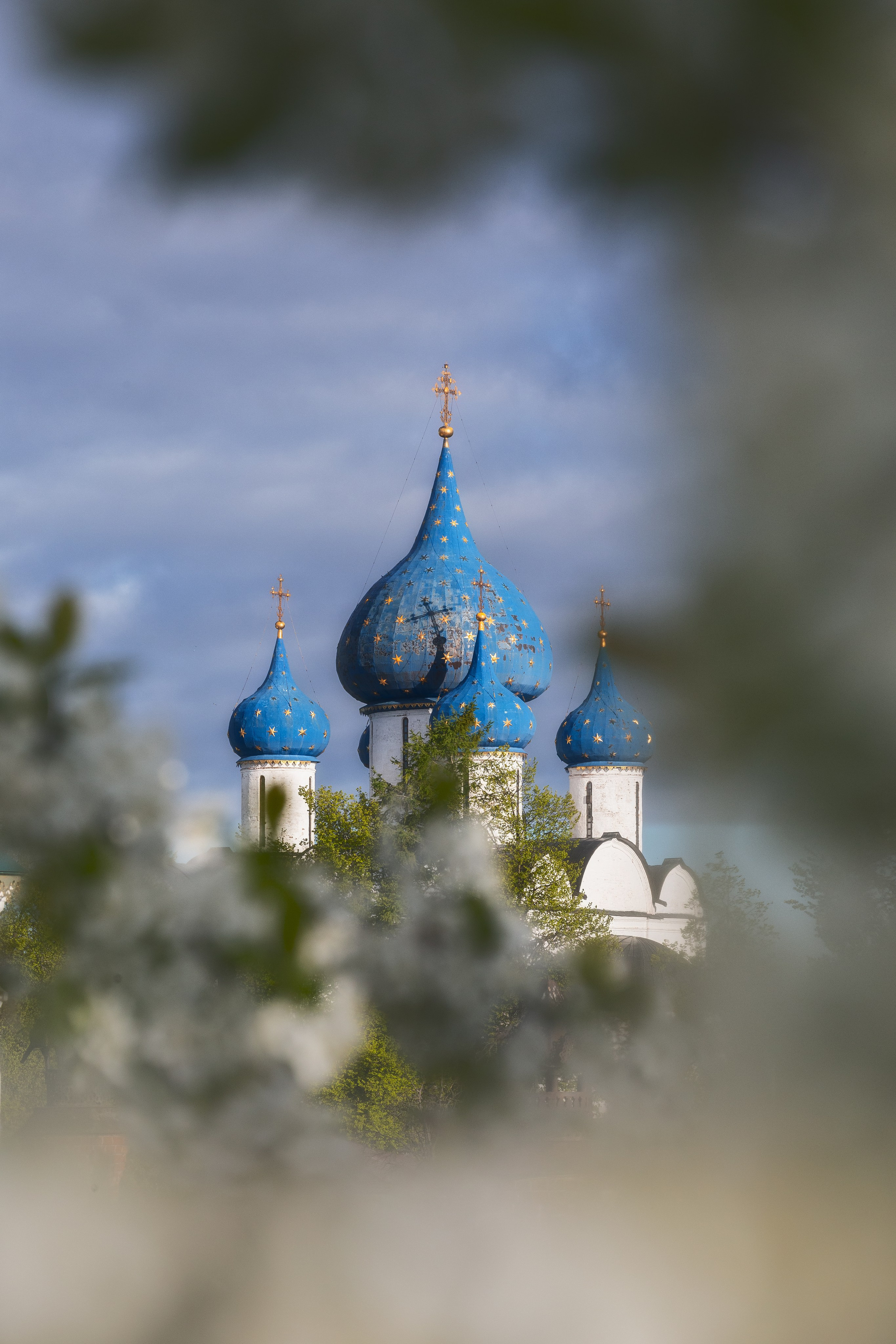 Суздаль (Владимирская область). Фотограф Мартыненко Дмитрий