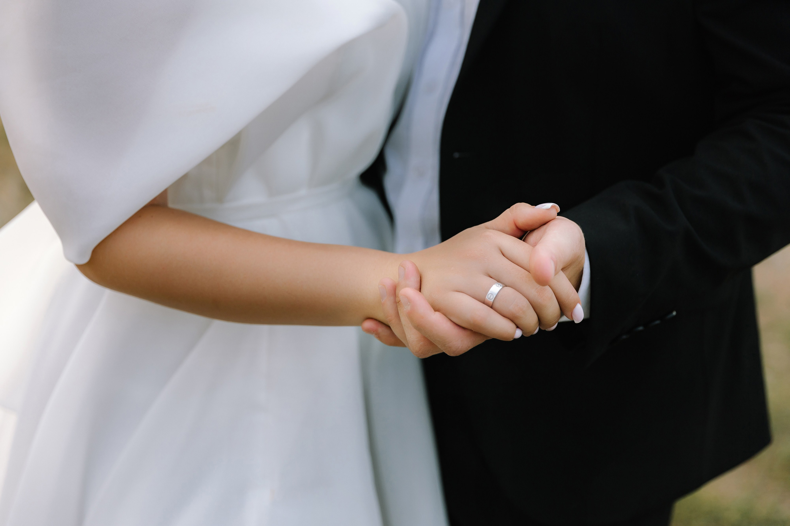 Бабочки. Фотограф Елена Краснопевцева