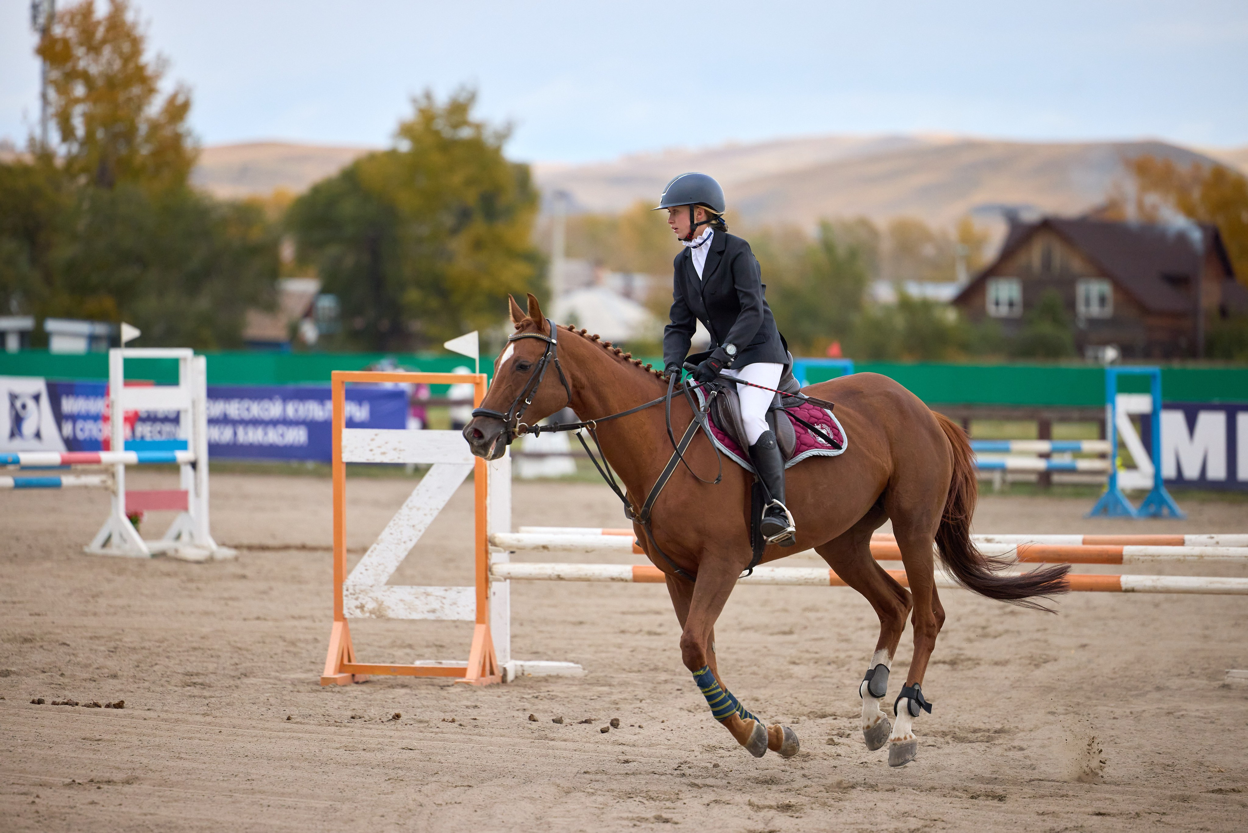 Конкур на Абаканском ипподроме. Ваши Истории. Фотограф/видеограф. Абакан