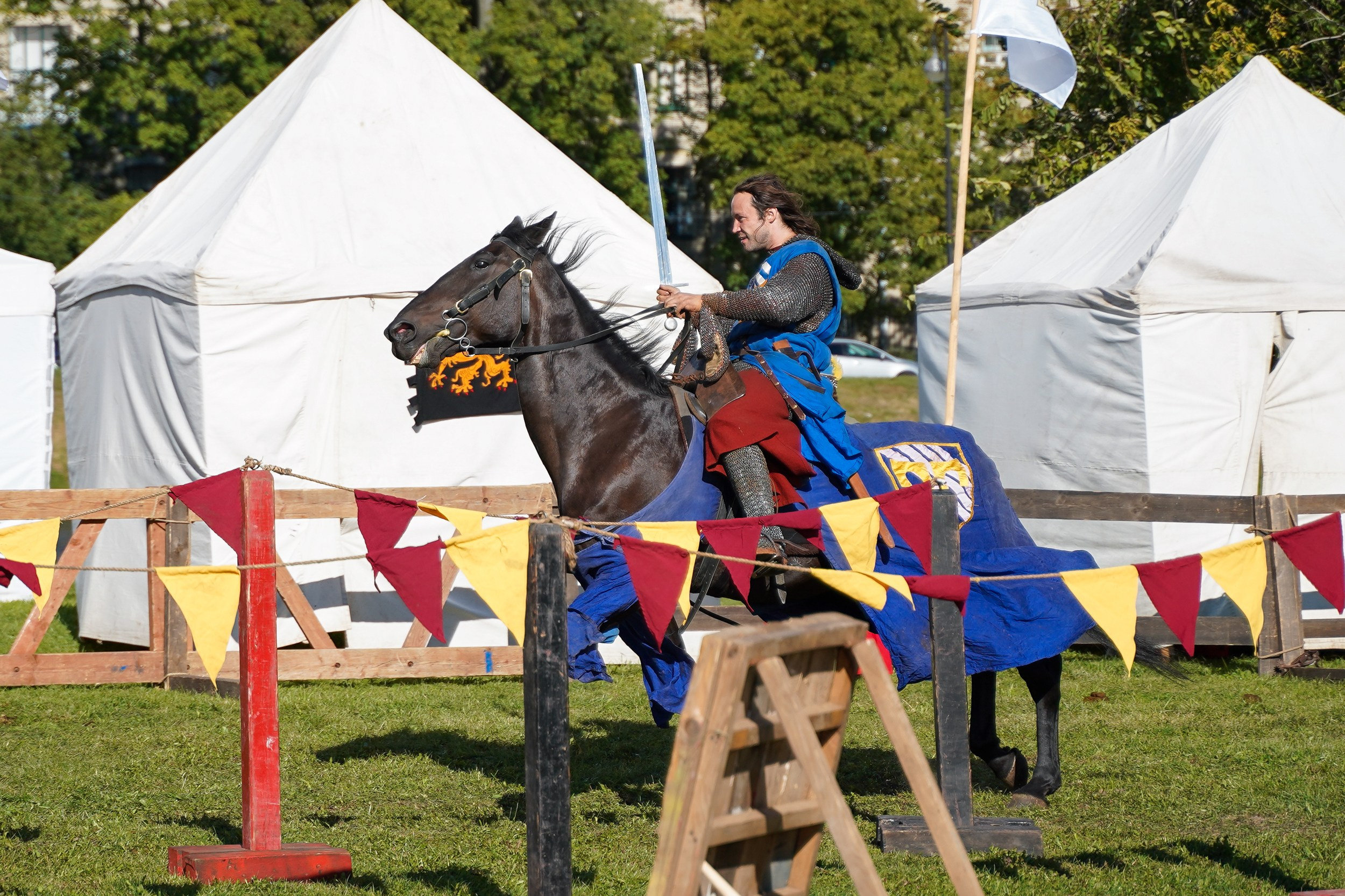 Рыцарский турнир в рамках фестиваля «Битва на Неве» Санкт-Петербург 2024 г. Фотограф-анималист, портретный фотограф в Чебоксарах Мария Садыкова