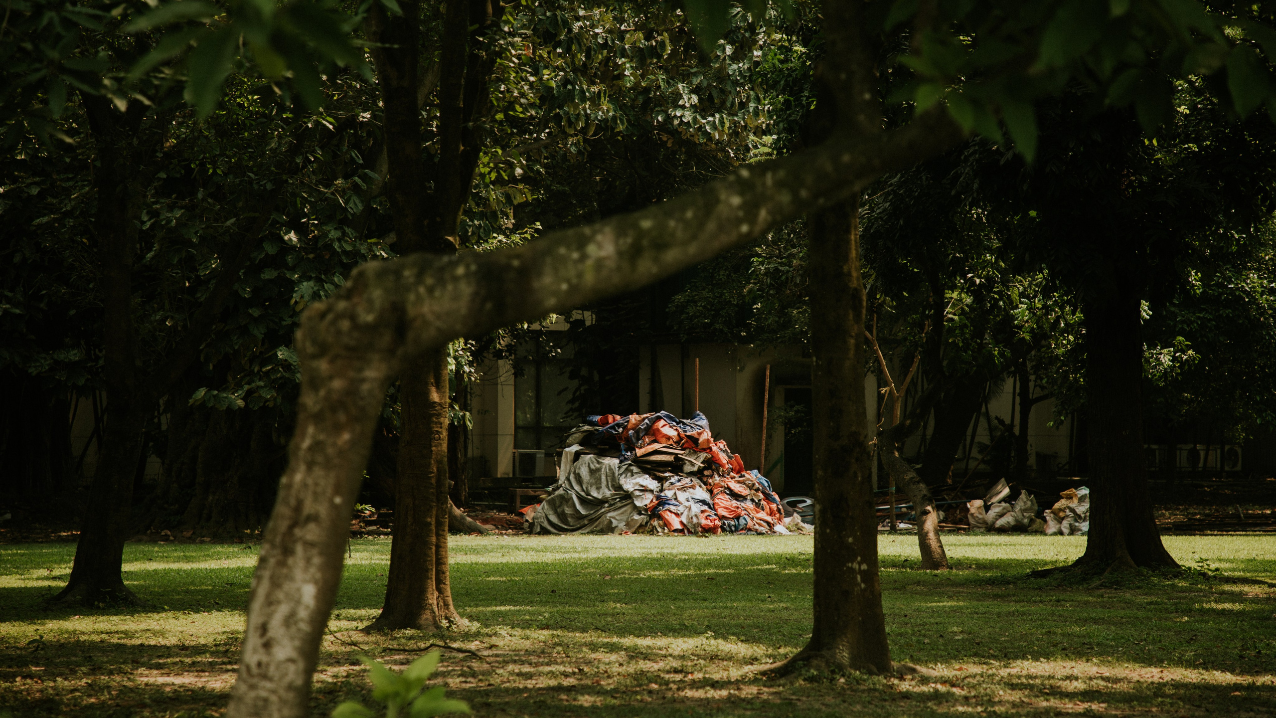 Путешествия. Оператор Мария Боровкова