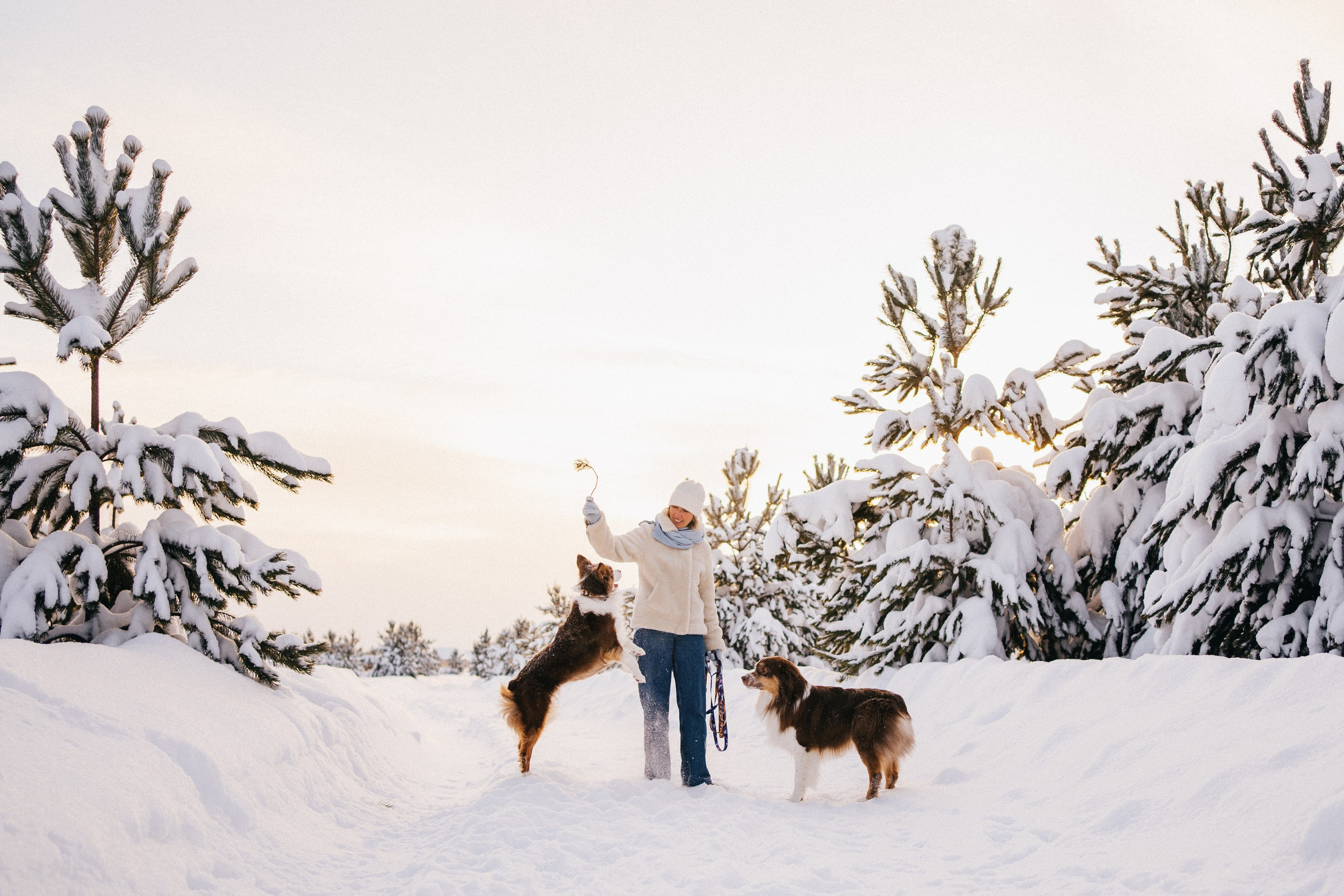 Айла и Харли. Фотограф-анималист Анастасия Большакова
