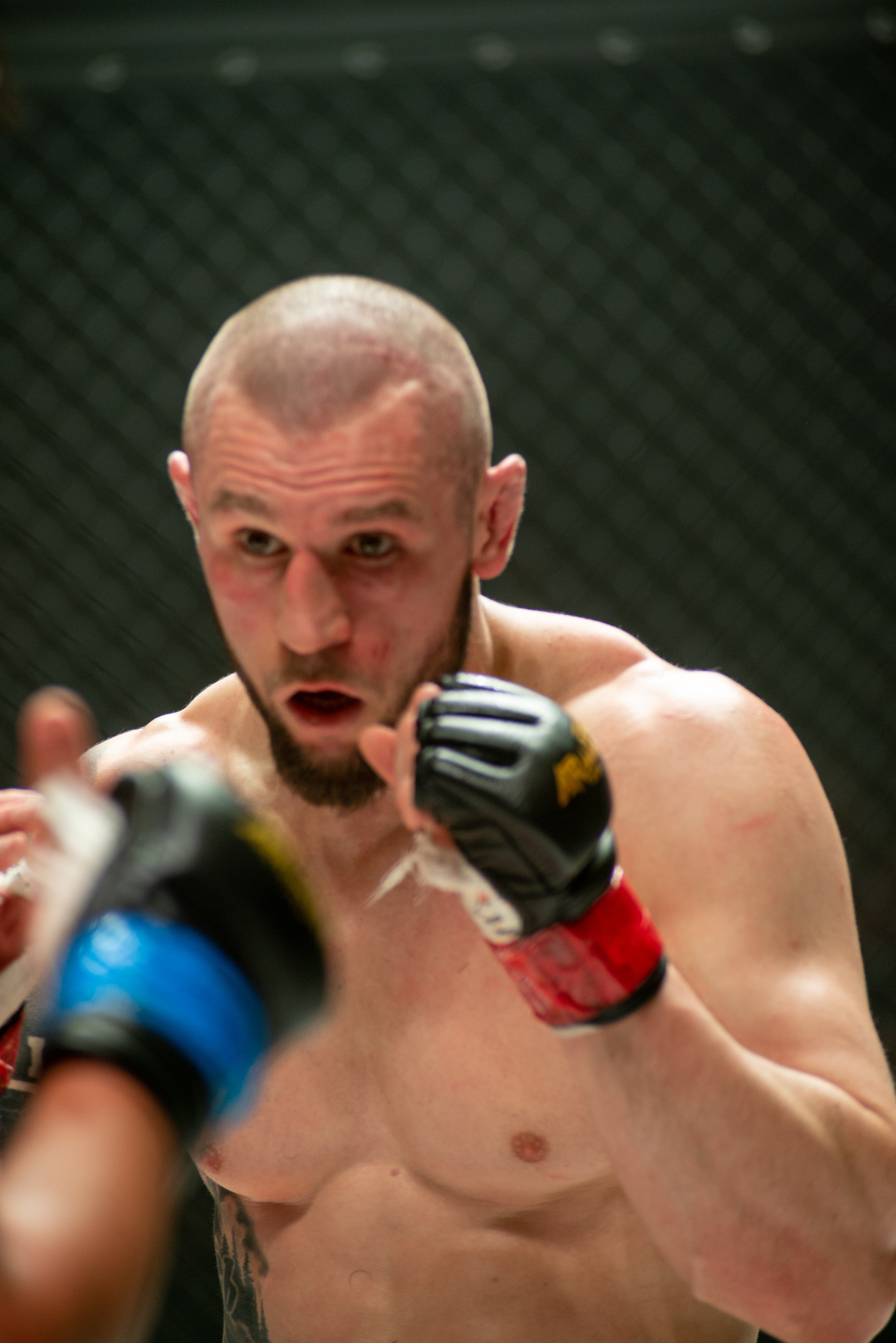 Miroslava Fight