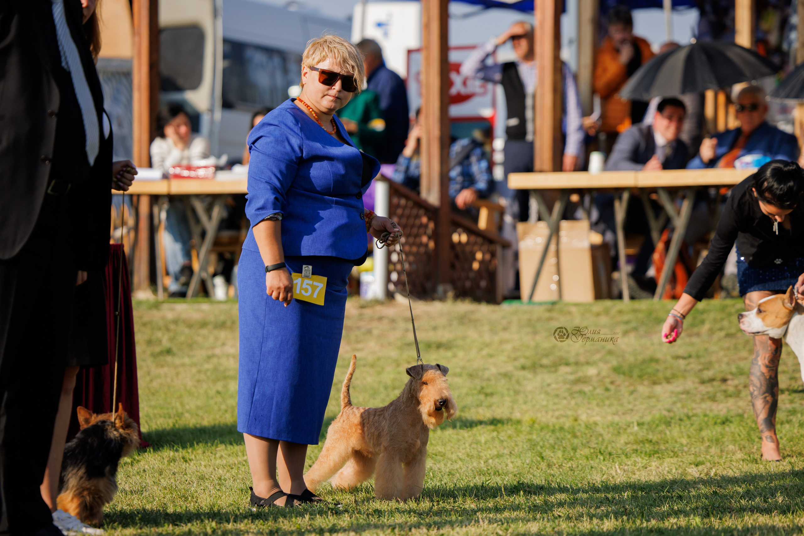 Армения,Ереван 3хCACIB 15-17.10.2024. Фотограф-анималист Юлия Германика