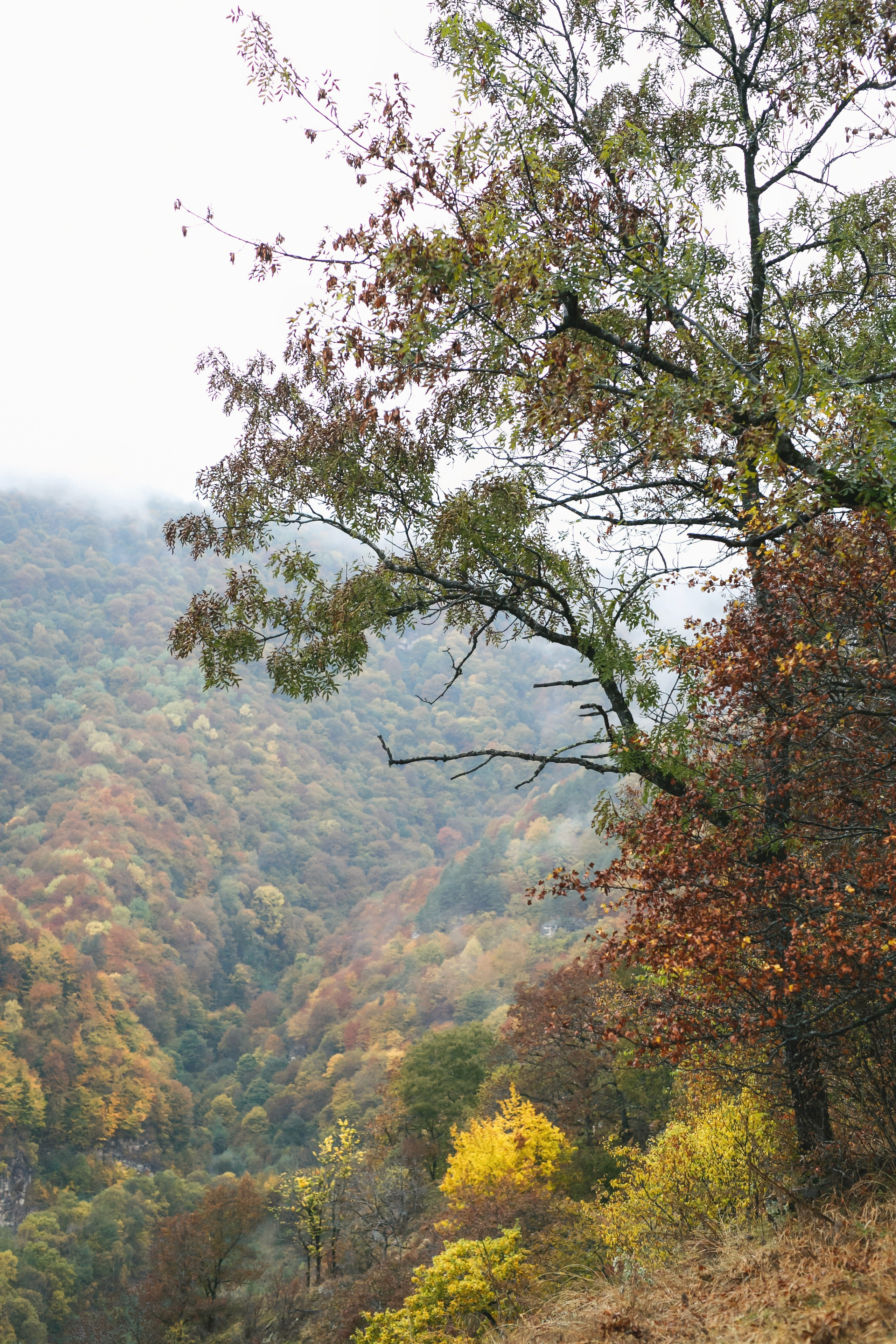 В горы на годовщину. Фотограф Андрей Кононенко