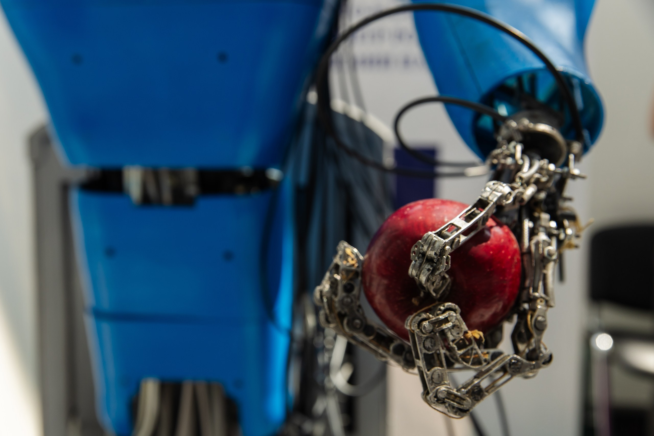 ЭКСПО. Фотограф Николай Петрушкин | Ставрополь, Москва