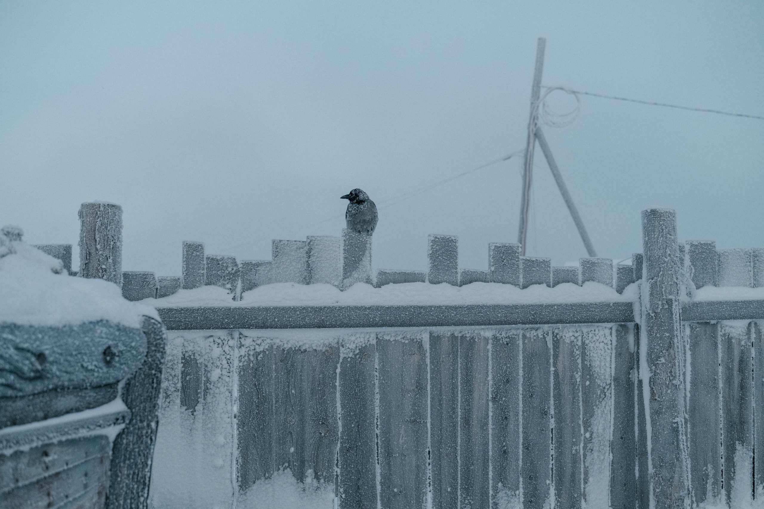 Фотографии Териберки | Филипп Линзин. Репортажный и портретный фотограф в Санкт-Петербурге Филипп Линзин
