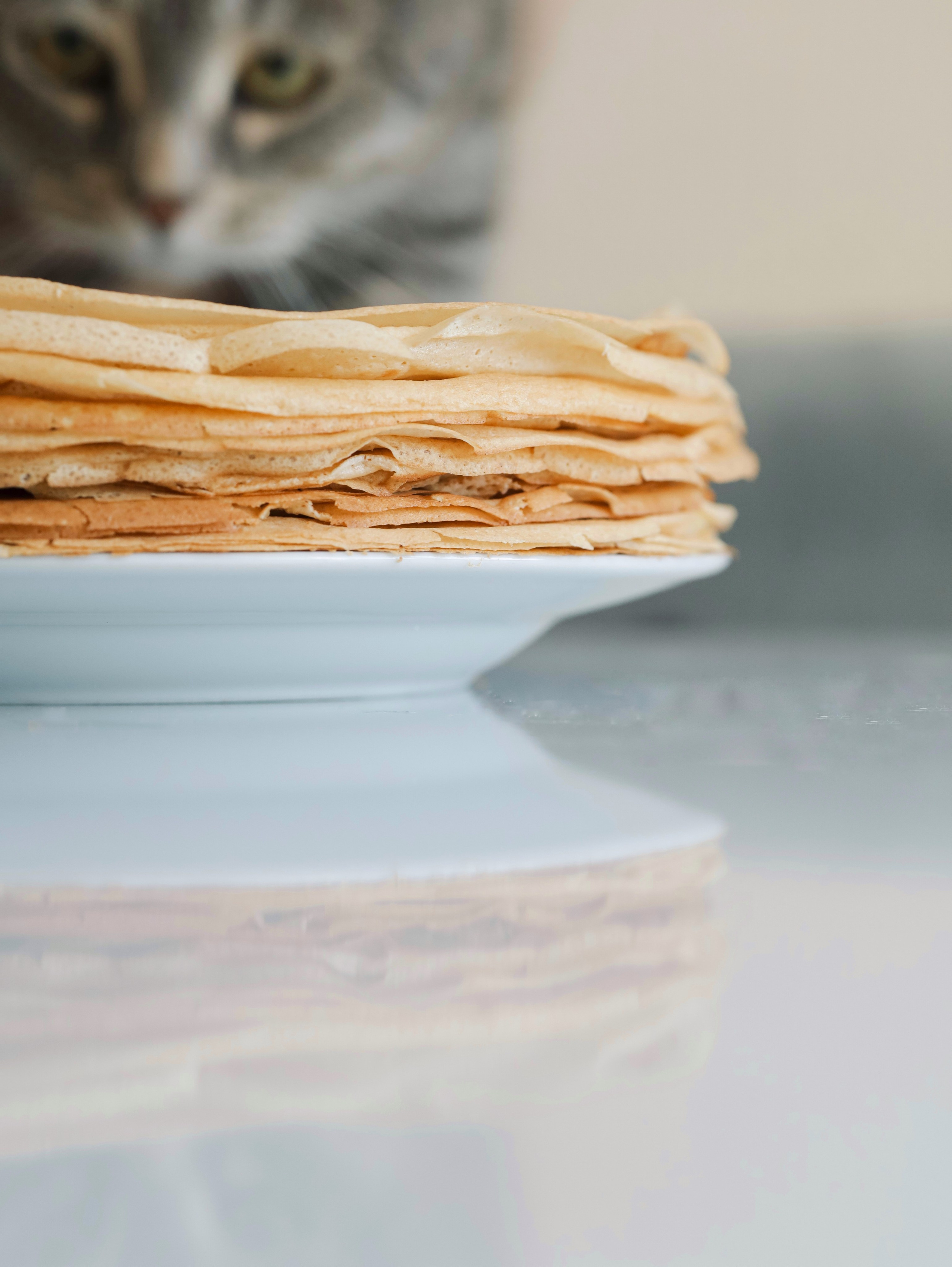 Food. Алёна Стерхова — Предметный и портретный фотограф. Ижевск