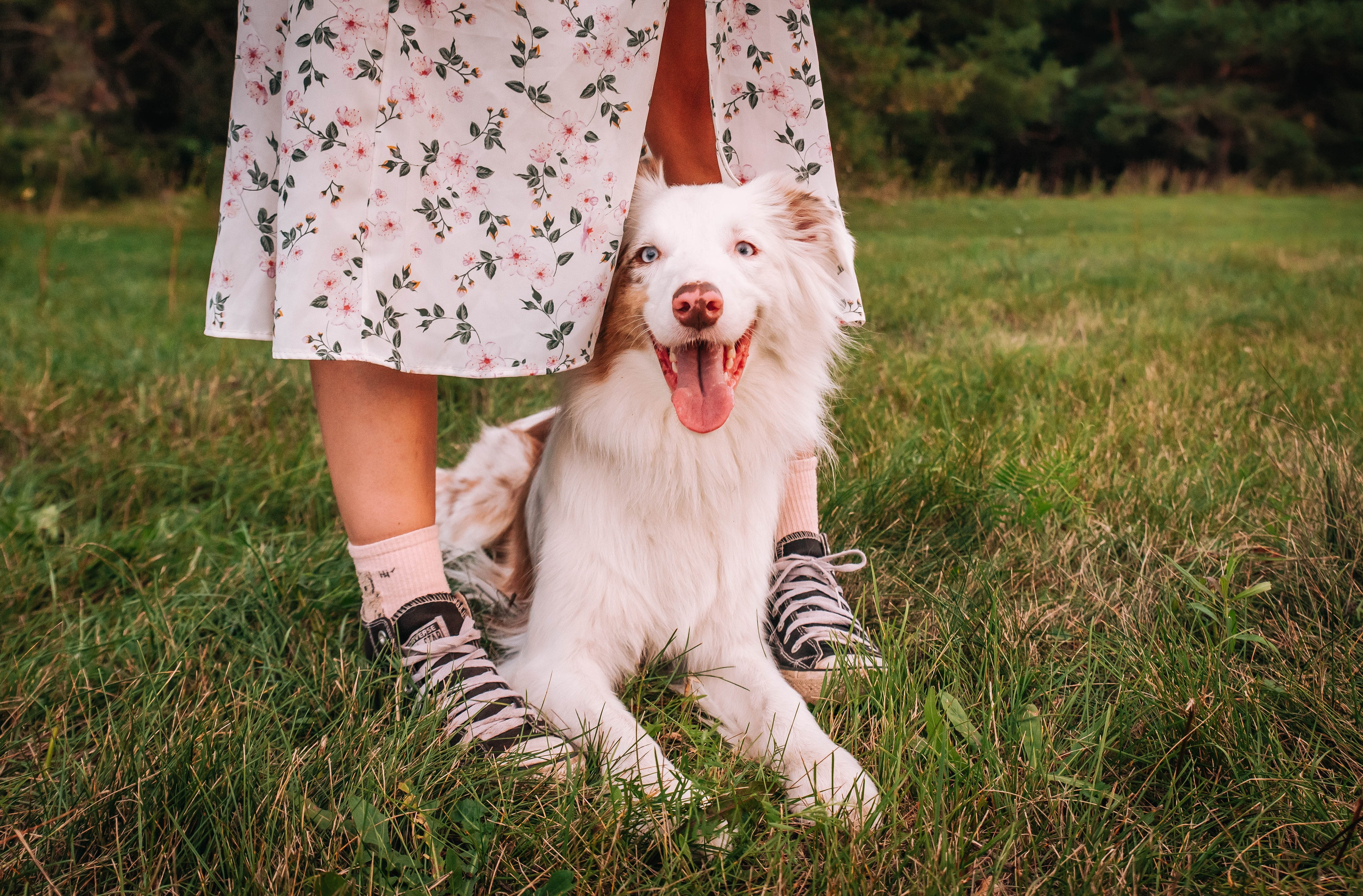 Лиза и Айви. Главная