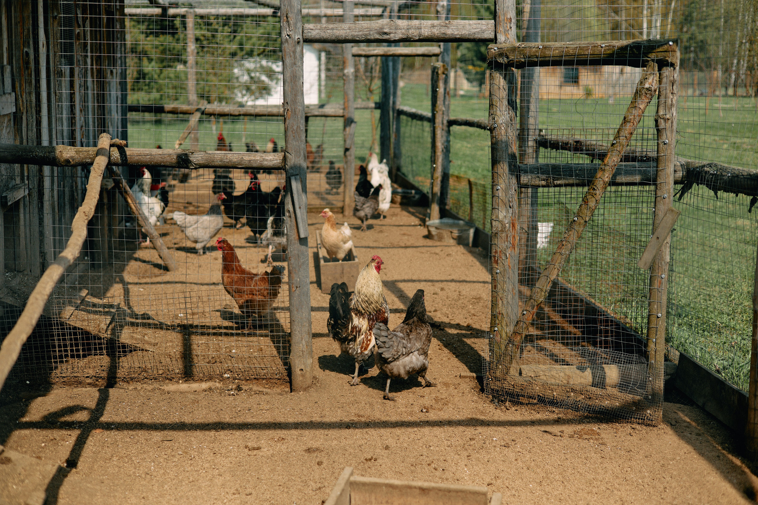 Бутик-отель Поле летом. Профессиональный Фотограф во Владимире, в Москве и в Суздале — Полина Романычева