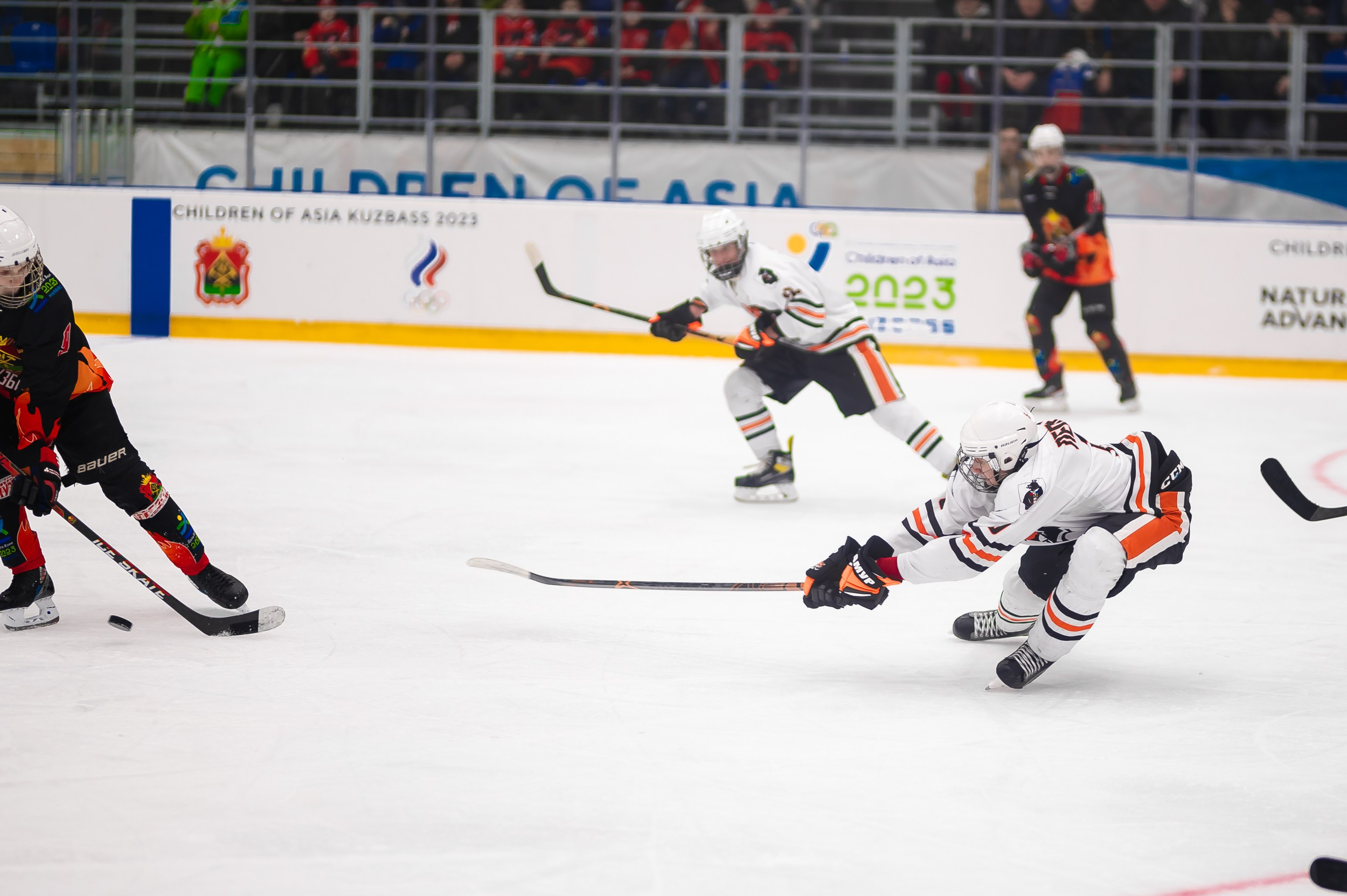 Кузбасс-ДФО. ProfotoNK