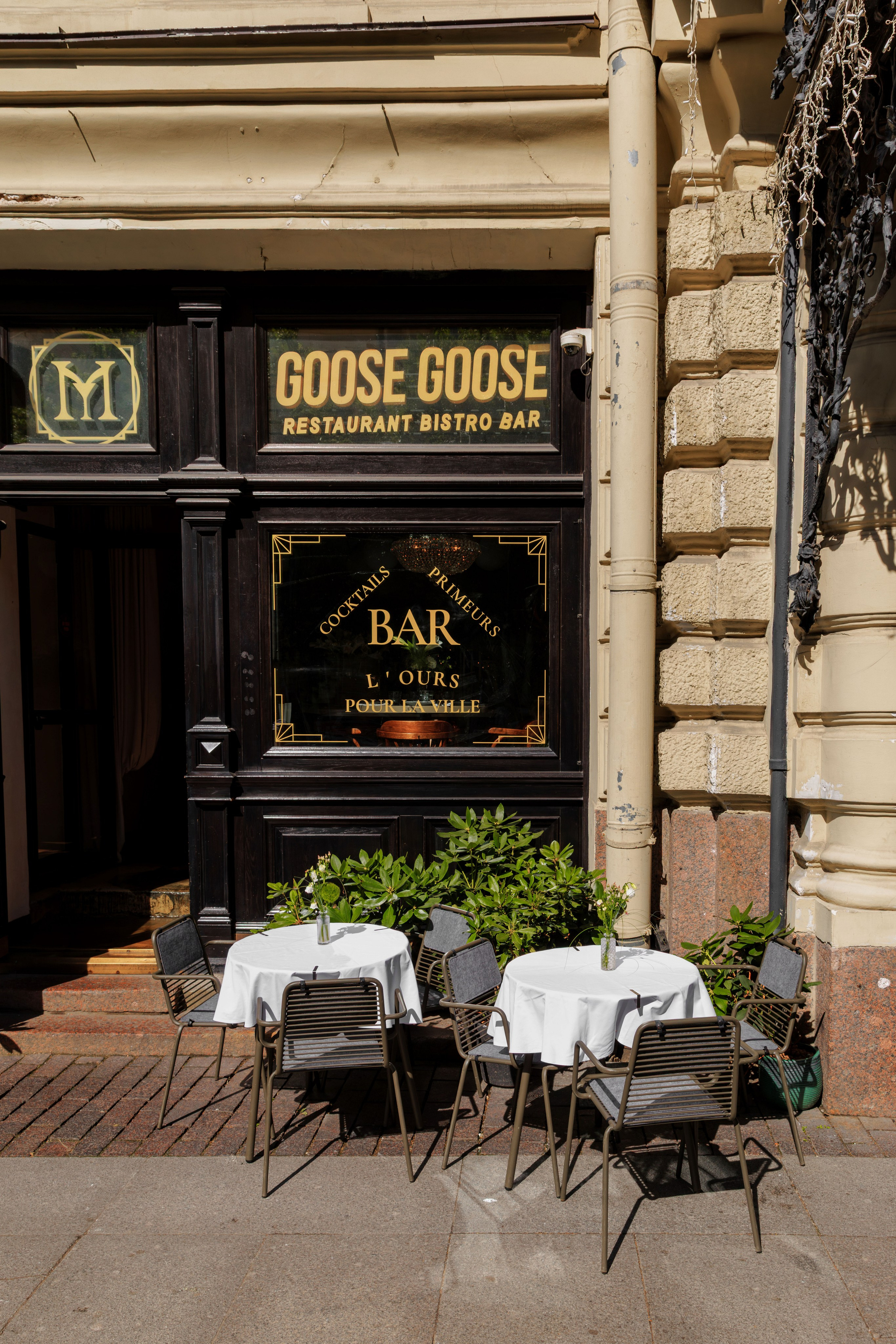 Медведь. Репортажный фотограф в Санкт-Петербурге Жолудев Владислав