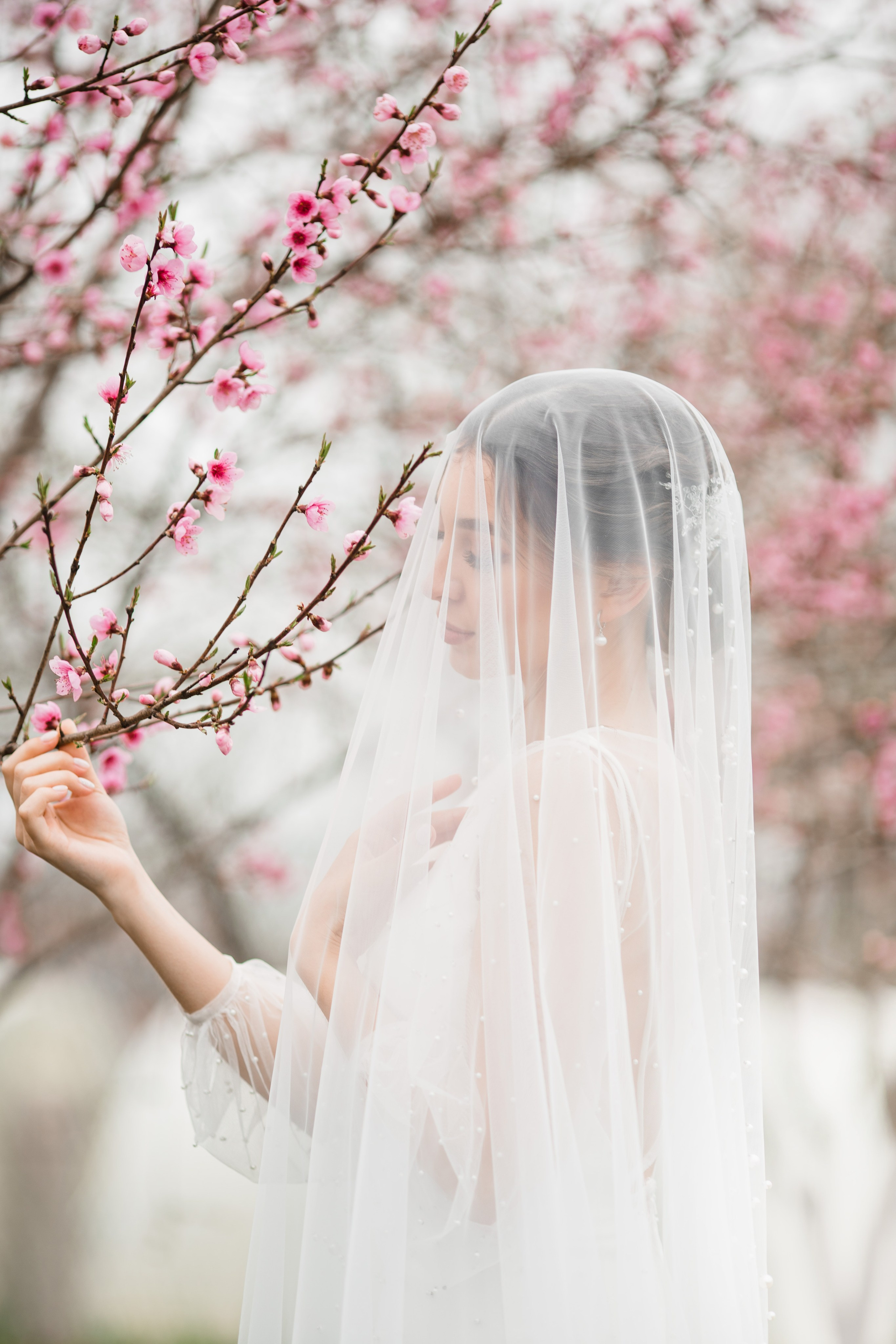 Николай и Аля. Свадебный и семейный фотограф в Краснодаре