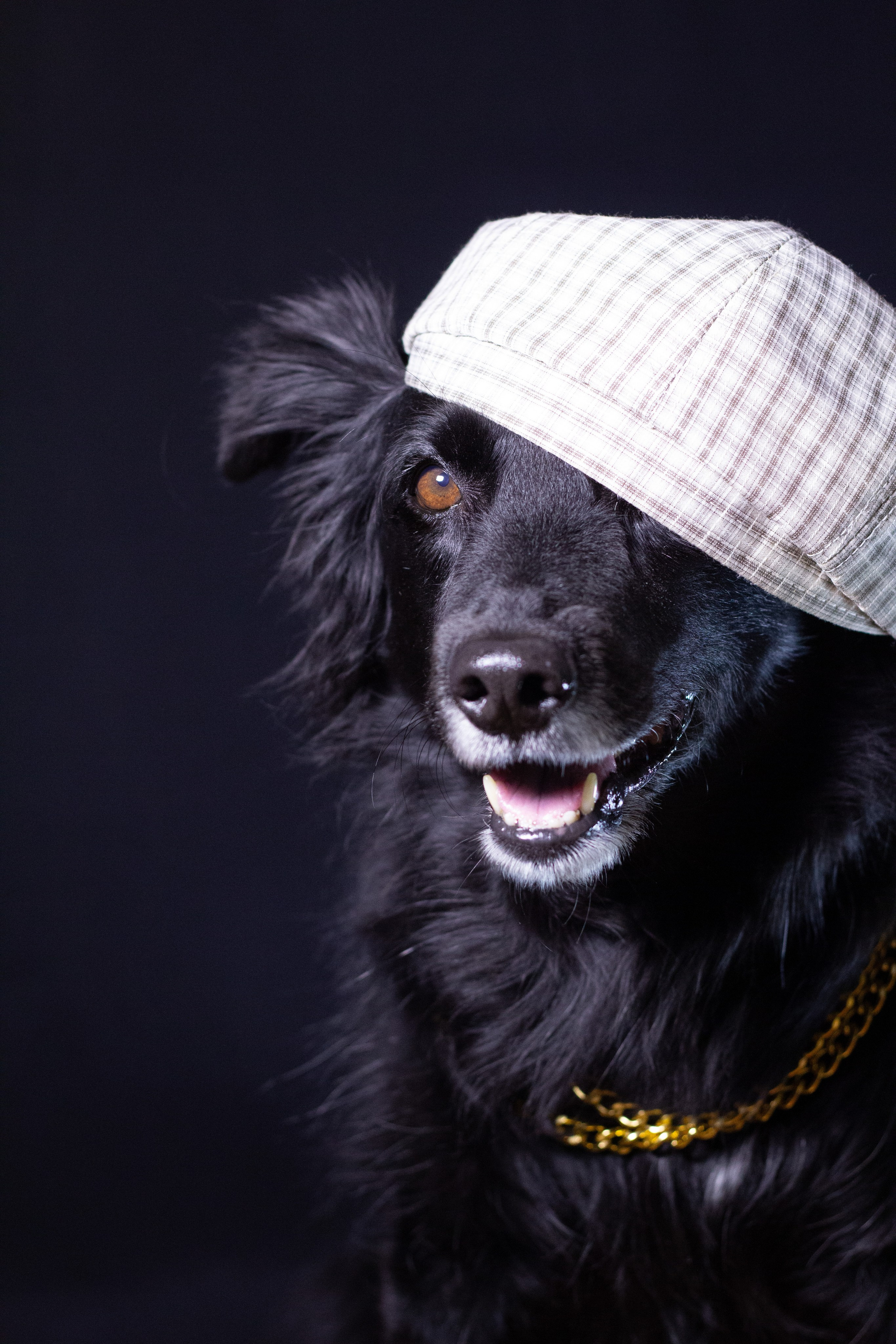 Ваши фотографии. Фотограф анималист Осипчикова Мария