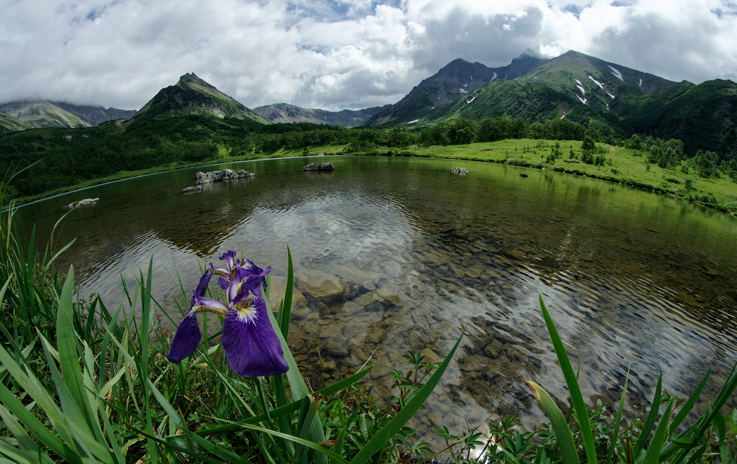 Камчатка, цветок и озеро Вачкажец