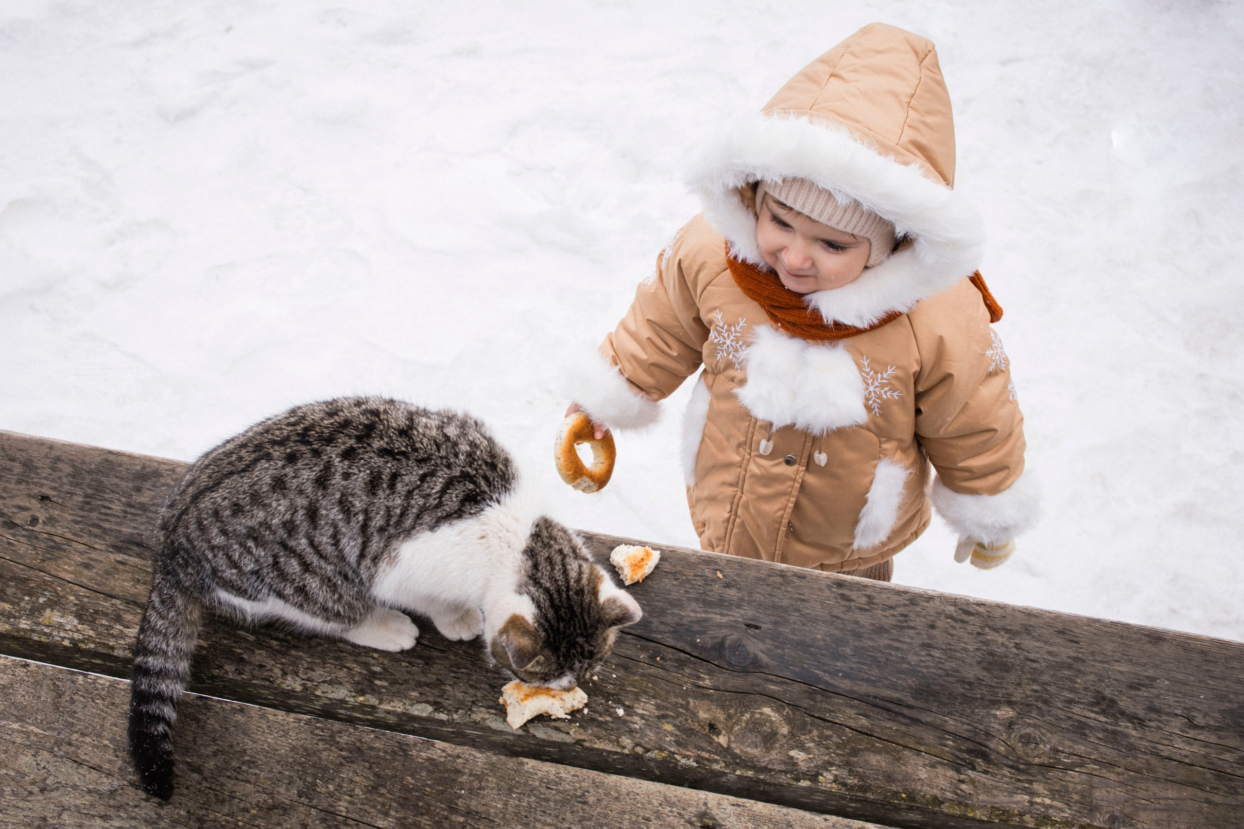 Алёна, Аврора и Артём. Фотограф Виктория Куприянова