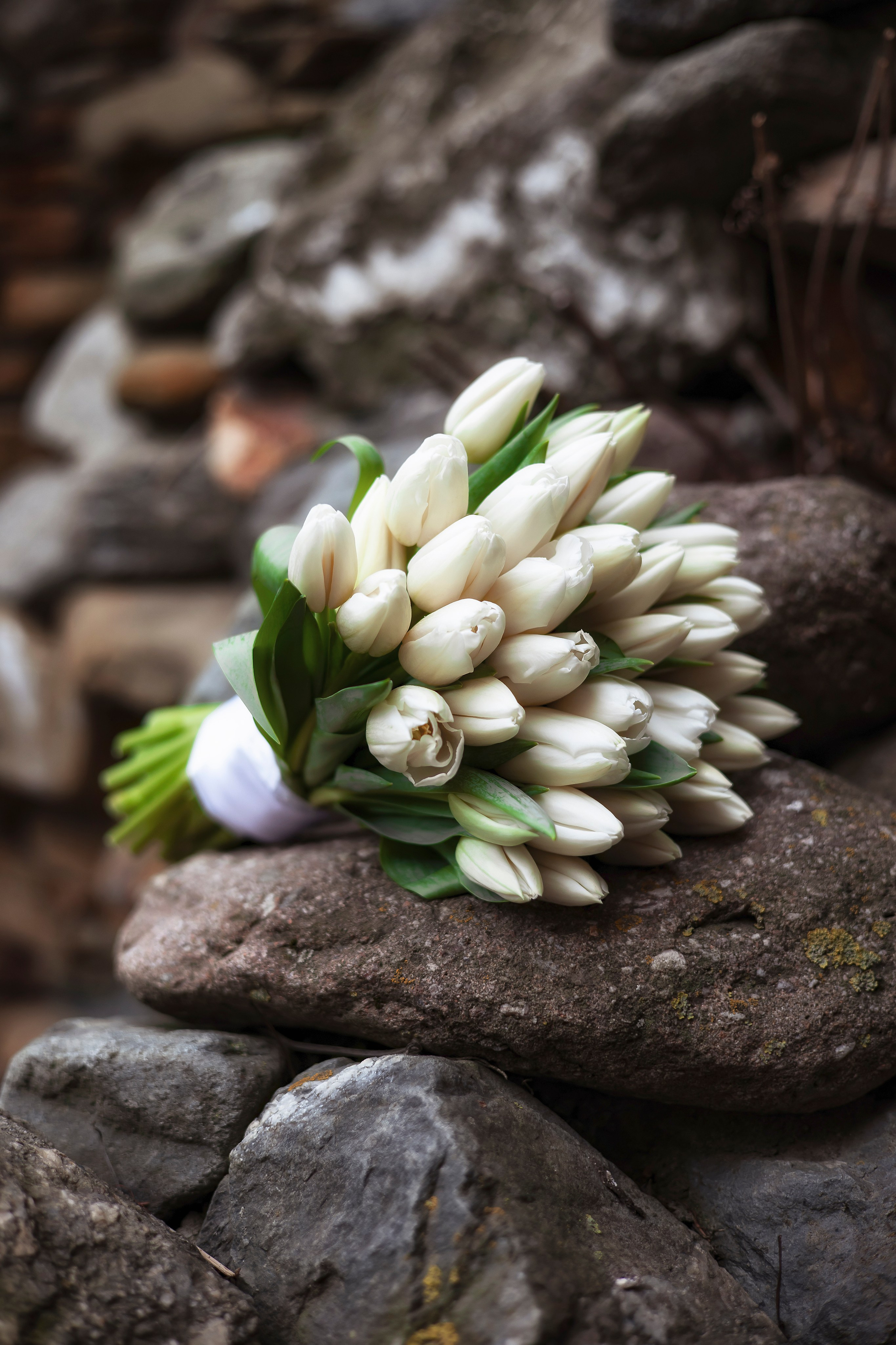 Свадебные фотосессии. Свадебный и семейный фотограф | SVET.photo