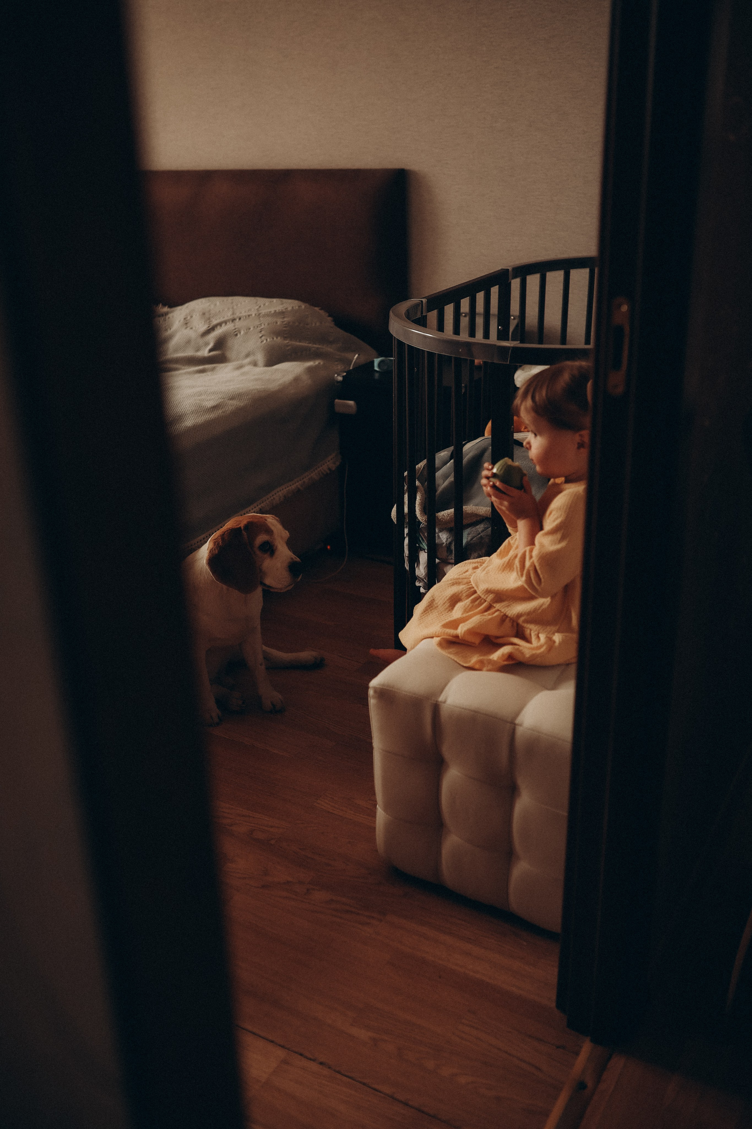 Домашняя фотосессия Лёши, Саши и малышки Иларии. Семейный фотограф в Москве и Люберцах Юлия Гуськова