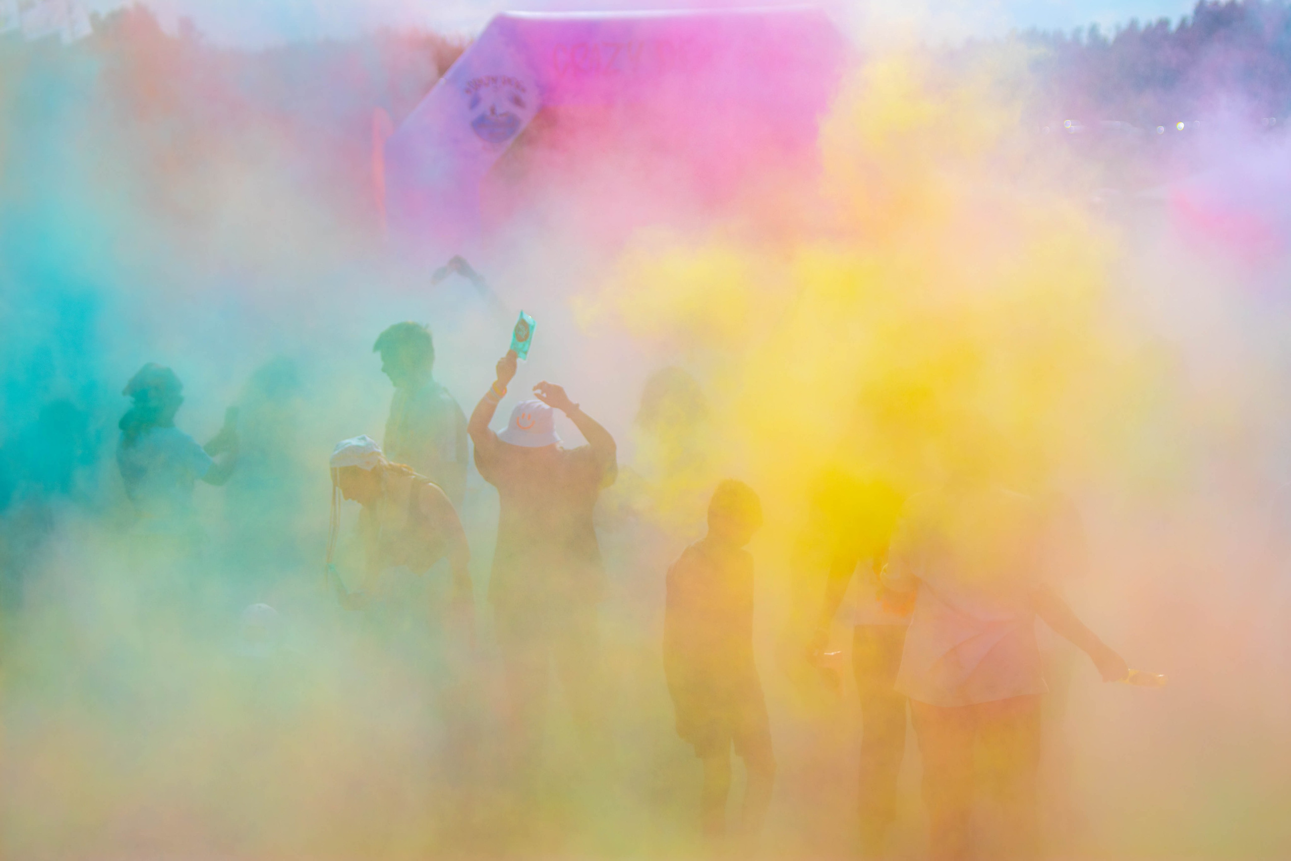 Хвостатый Драйв 2024. Фотограф анималист — Тула, Москва