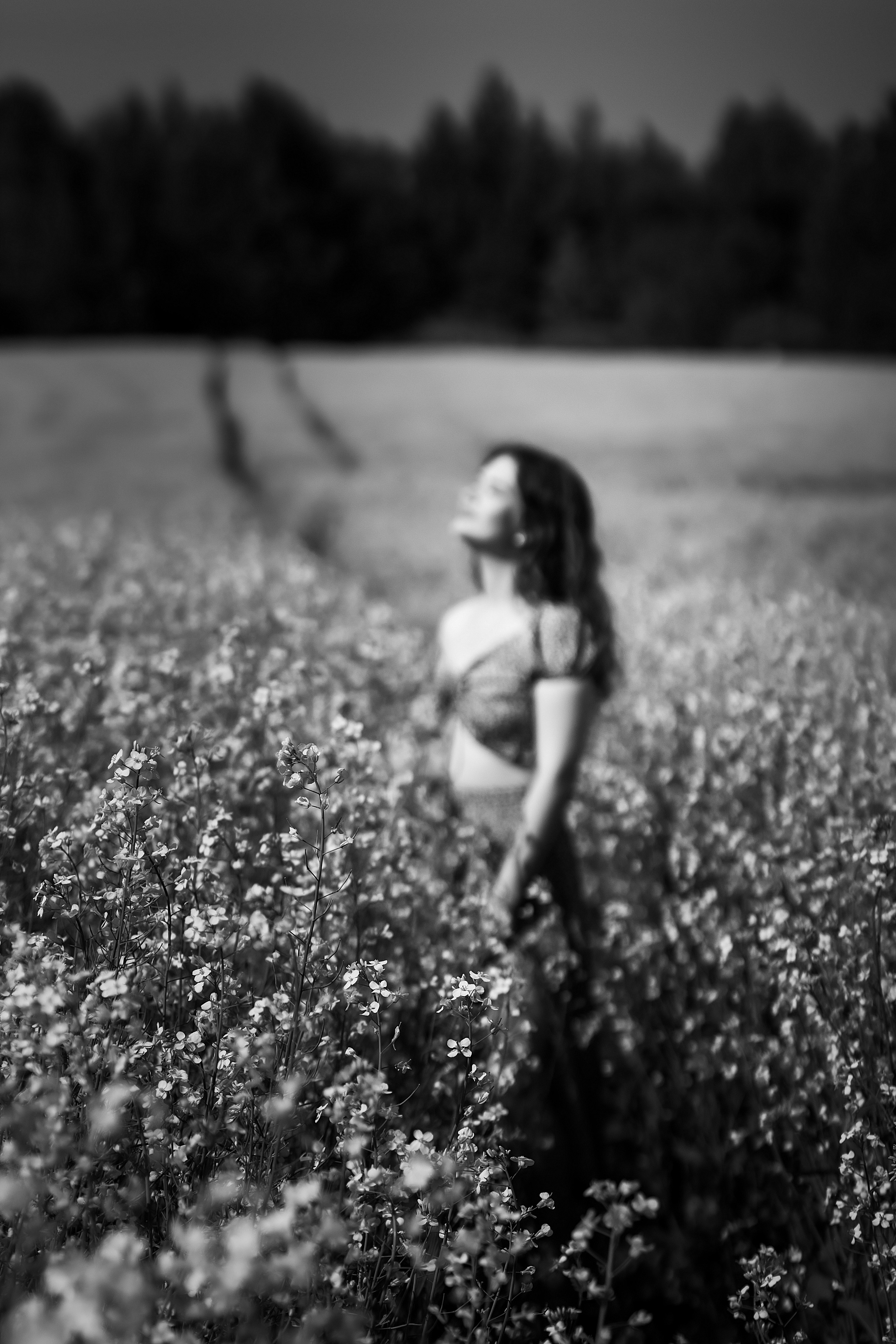 Фотограф в Кашине Калязине Кесовой Горе. Евгений Копайсов | официальный сайт