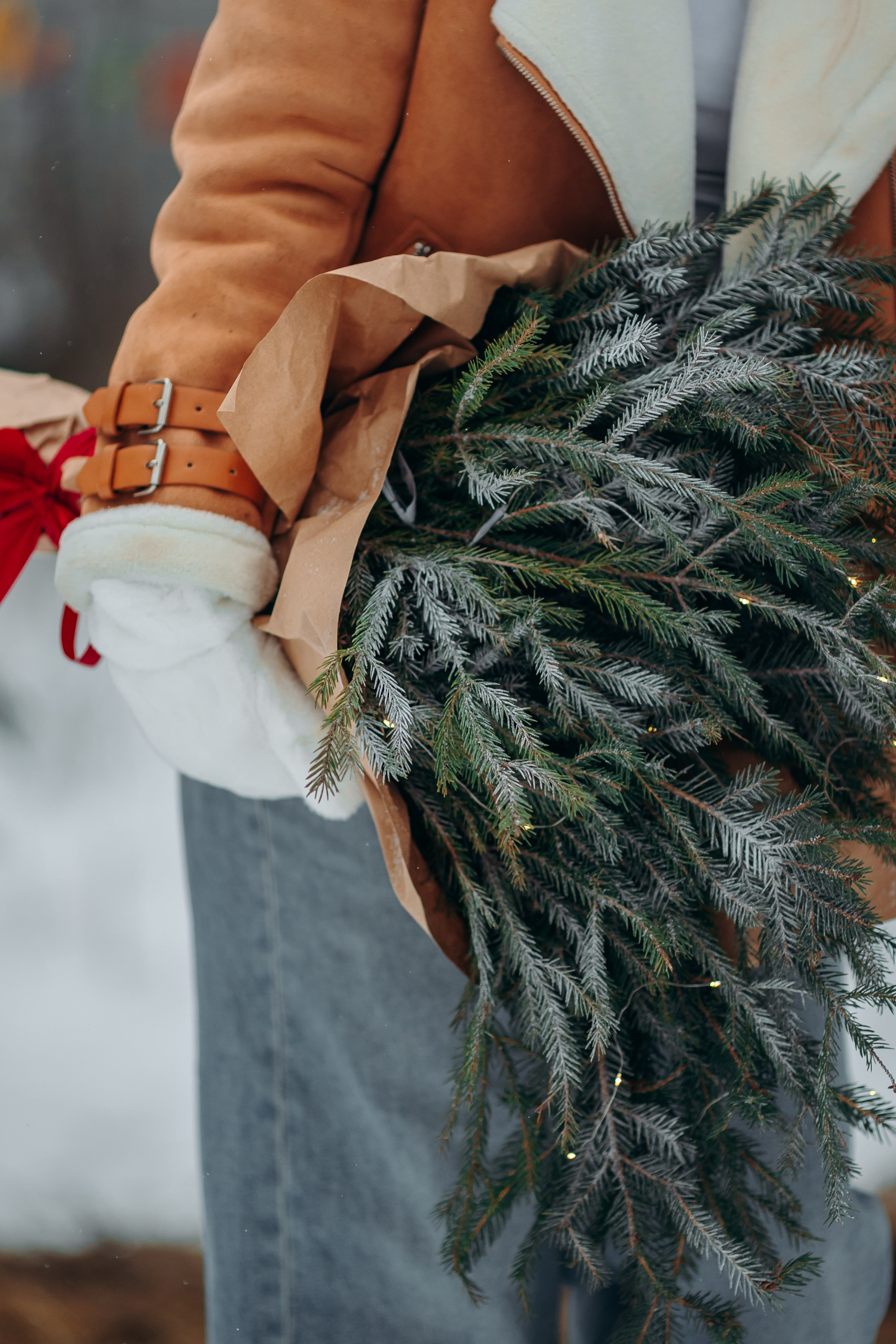 Тариф Новогодний 2025-2026. Анна Молчанова конный фотограф в Тюмени | фотосессии с лошадьми Тюмень