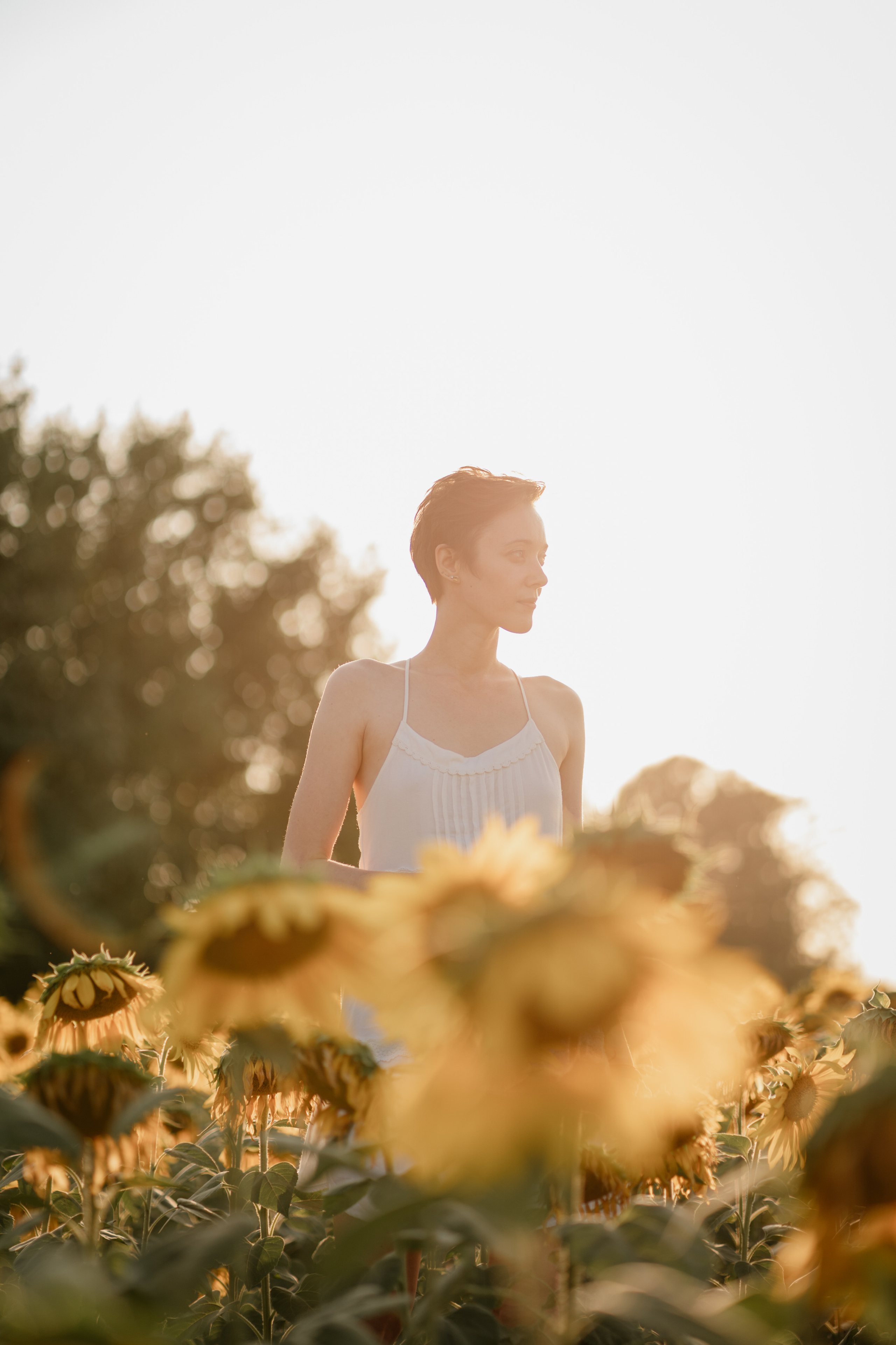 Анна и подсолнухи. Мира Назарова / Фотограф / Специалист по личному