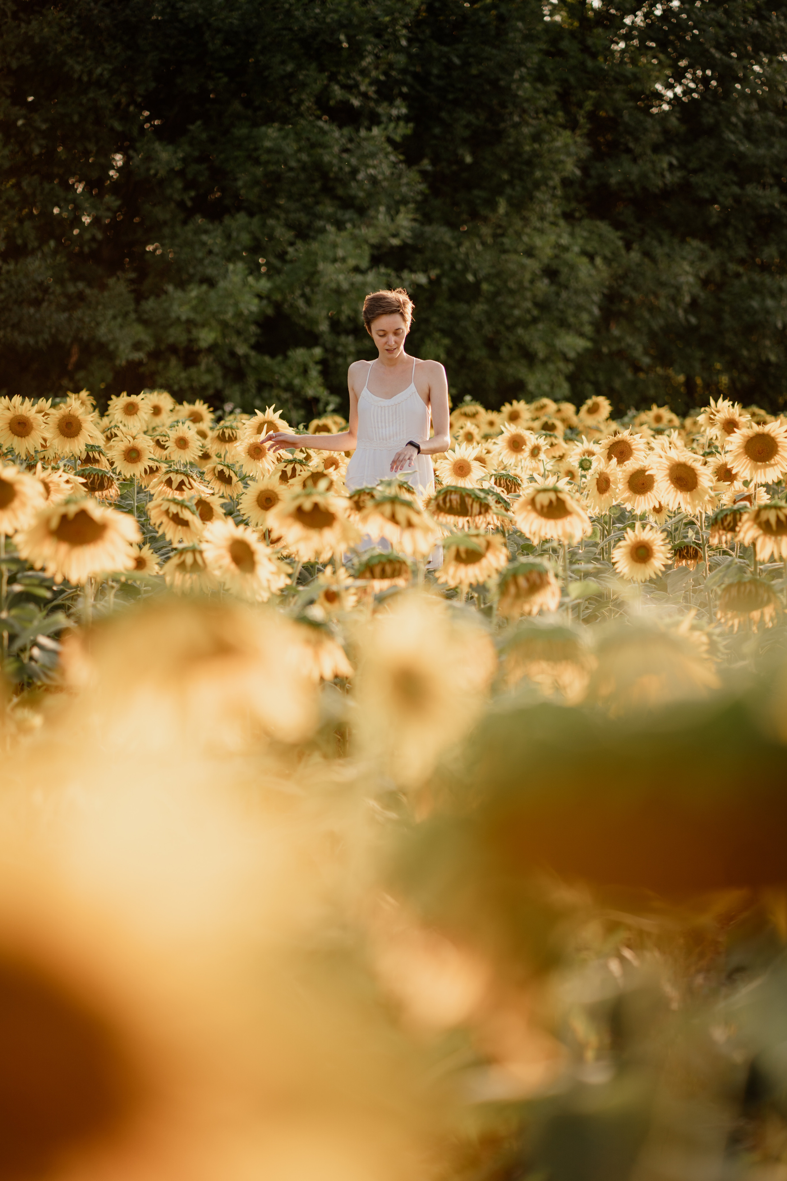 Анна и подсолнухи. Мира Назарова / Фотограф / Специалист по личному