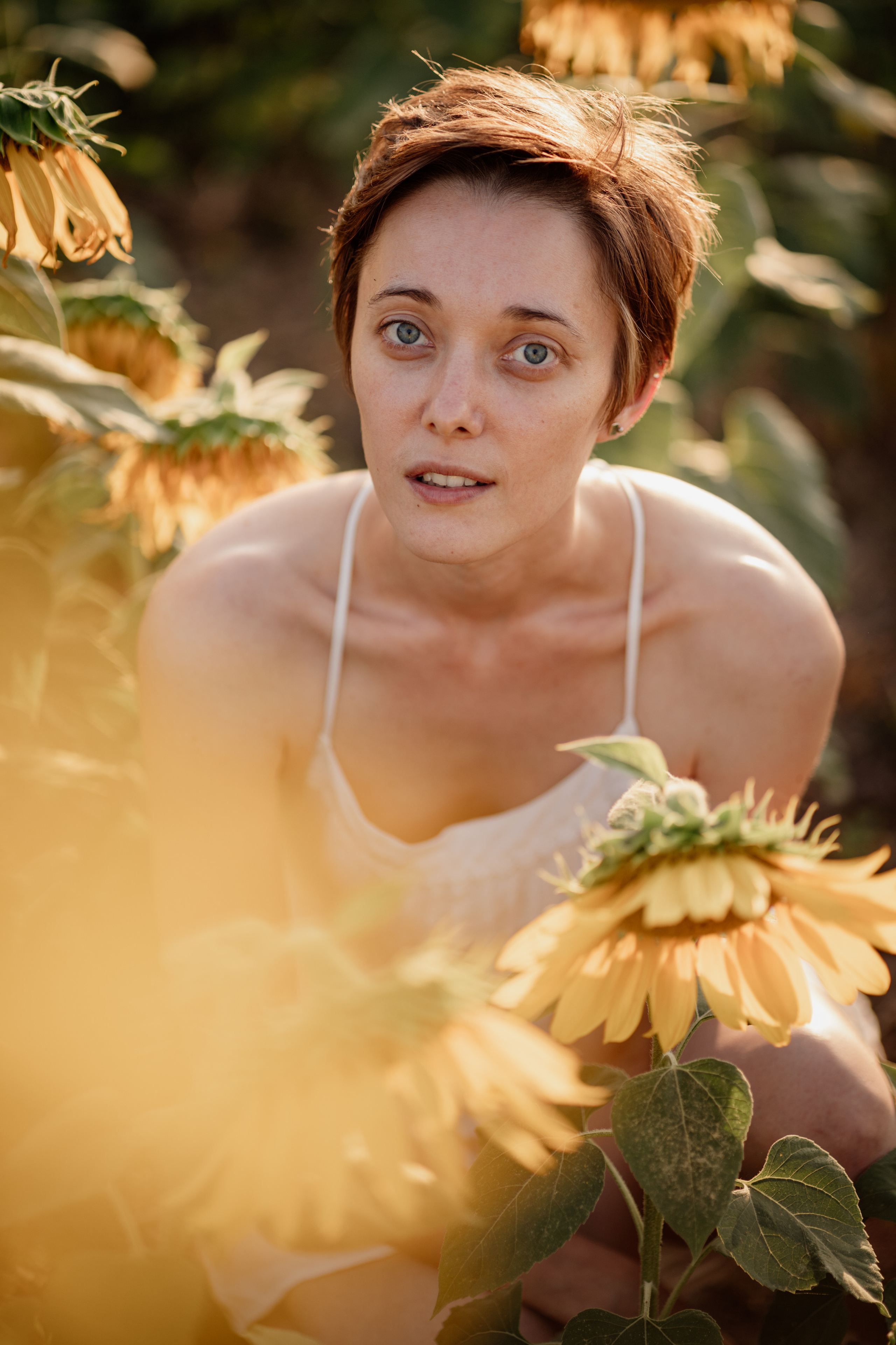 Анна и подсолнухи. Мира Назарова / Фотограф / Специалист по личному