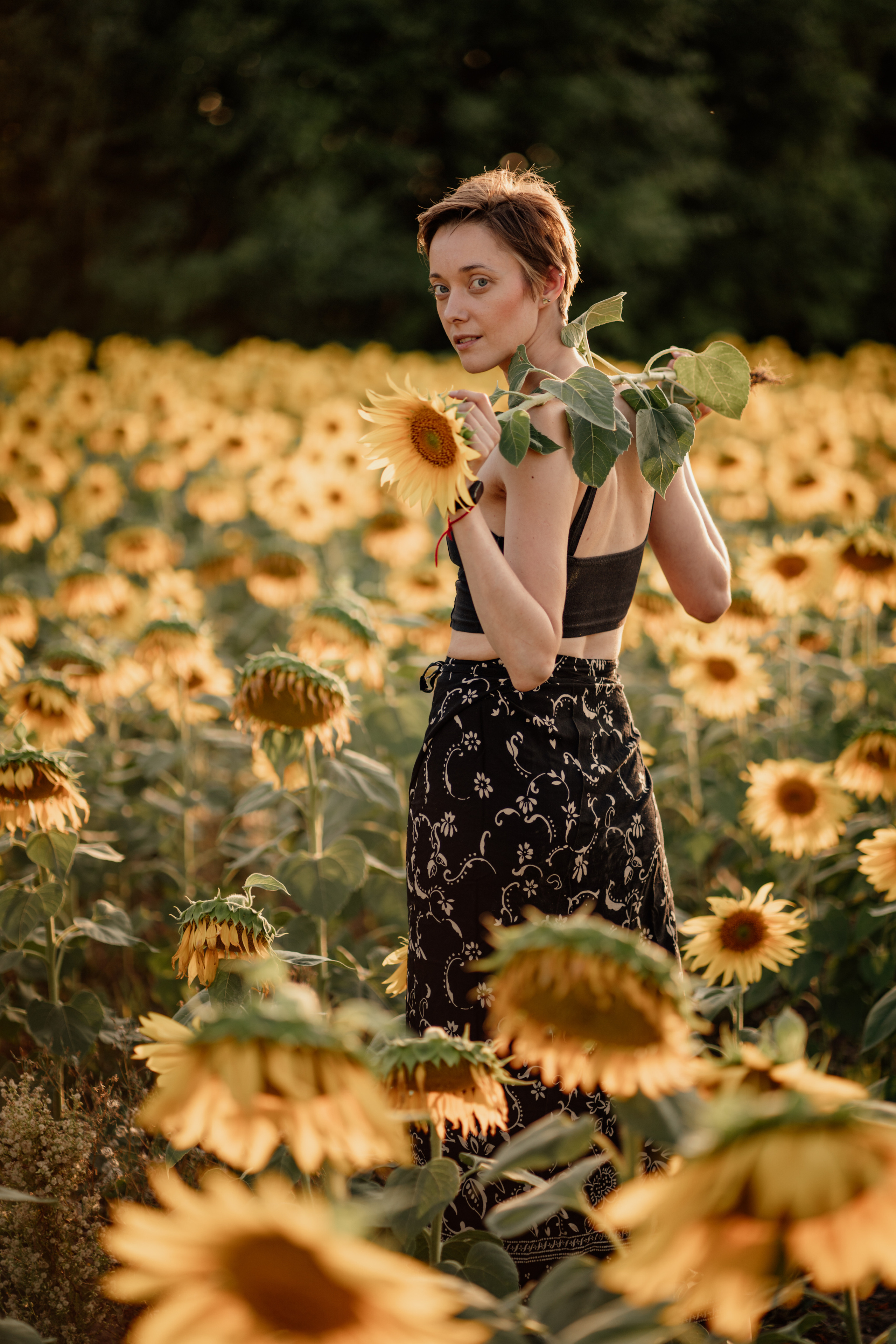 Анна и подсолнухи. Мира Назарова / Фотограф / Специалист по личному