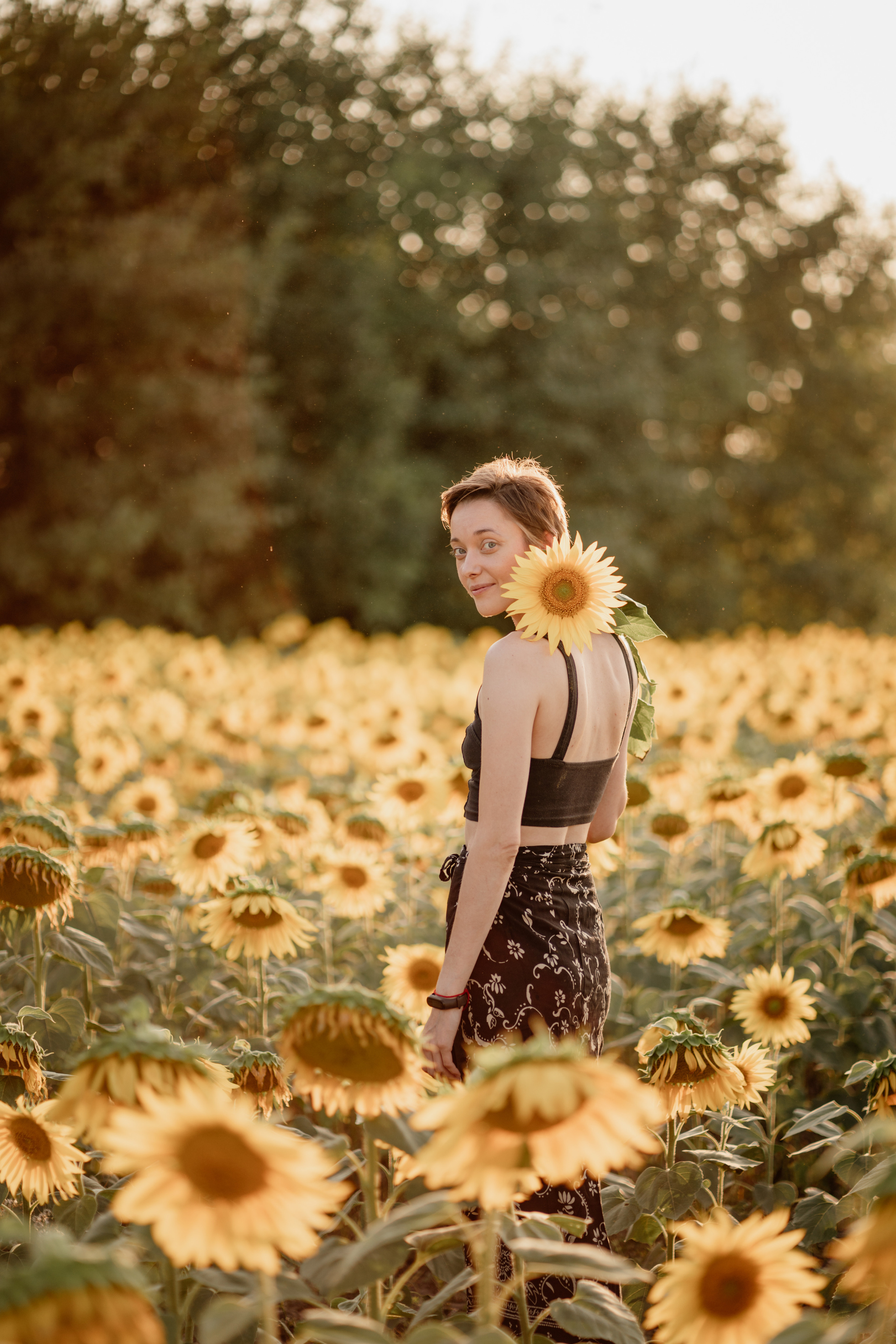 Анна и подсолнухи. Мира Назарова / Фотограф / Специалист по личному