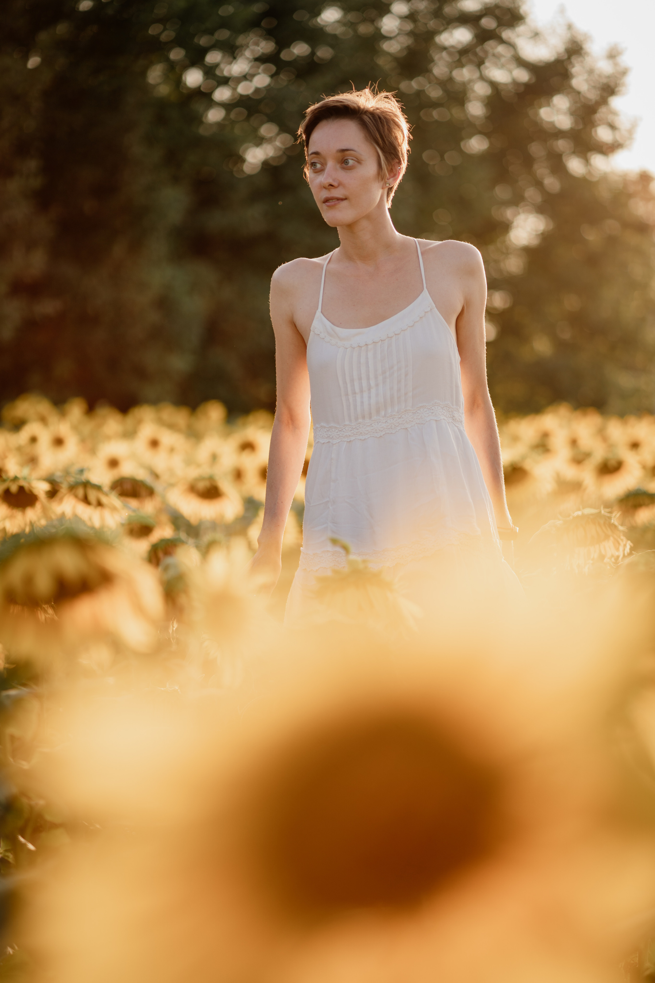 Анна и подсолнухи. Мира Назарова / Фотограф / Специалист по личному