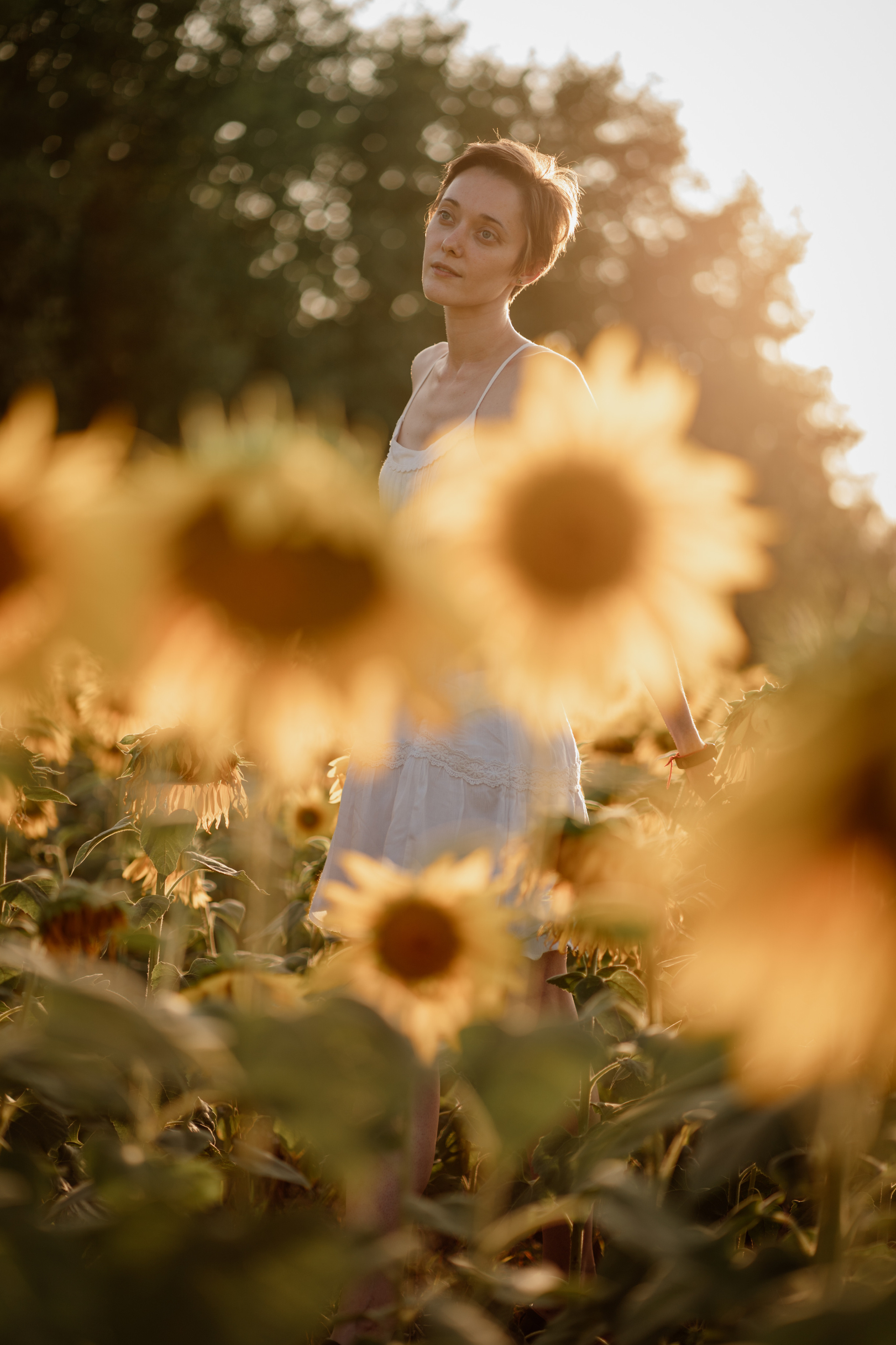 Анна и подсолнухи. Мира Назарова / Фотограф / Специалист по личному