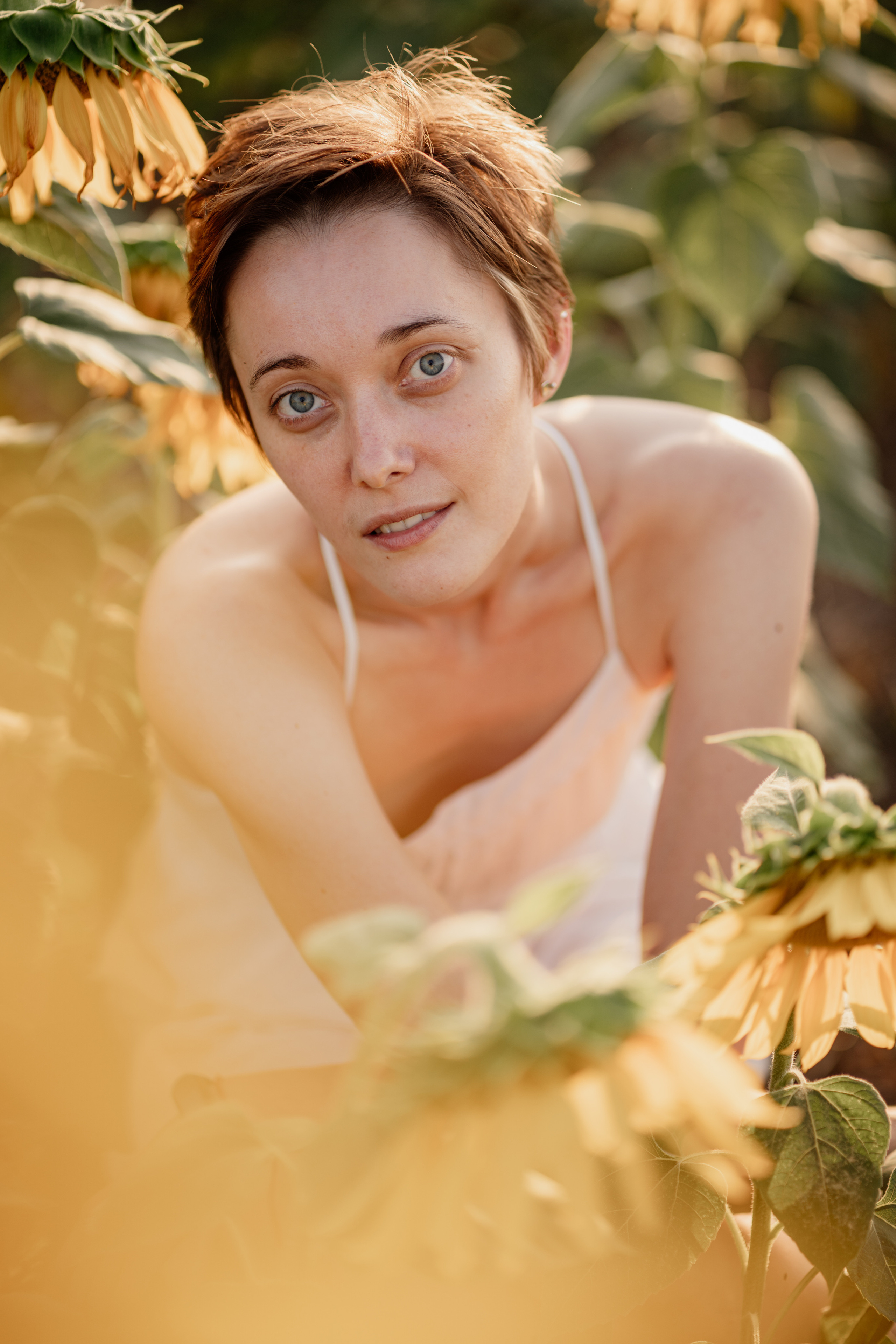 Анна и подсолнухи. Мира Назарова / Фотограф / Специалист по личному