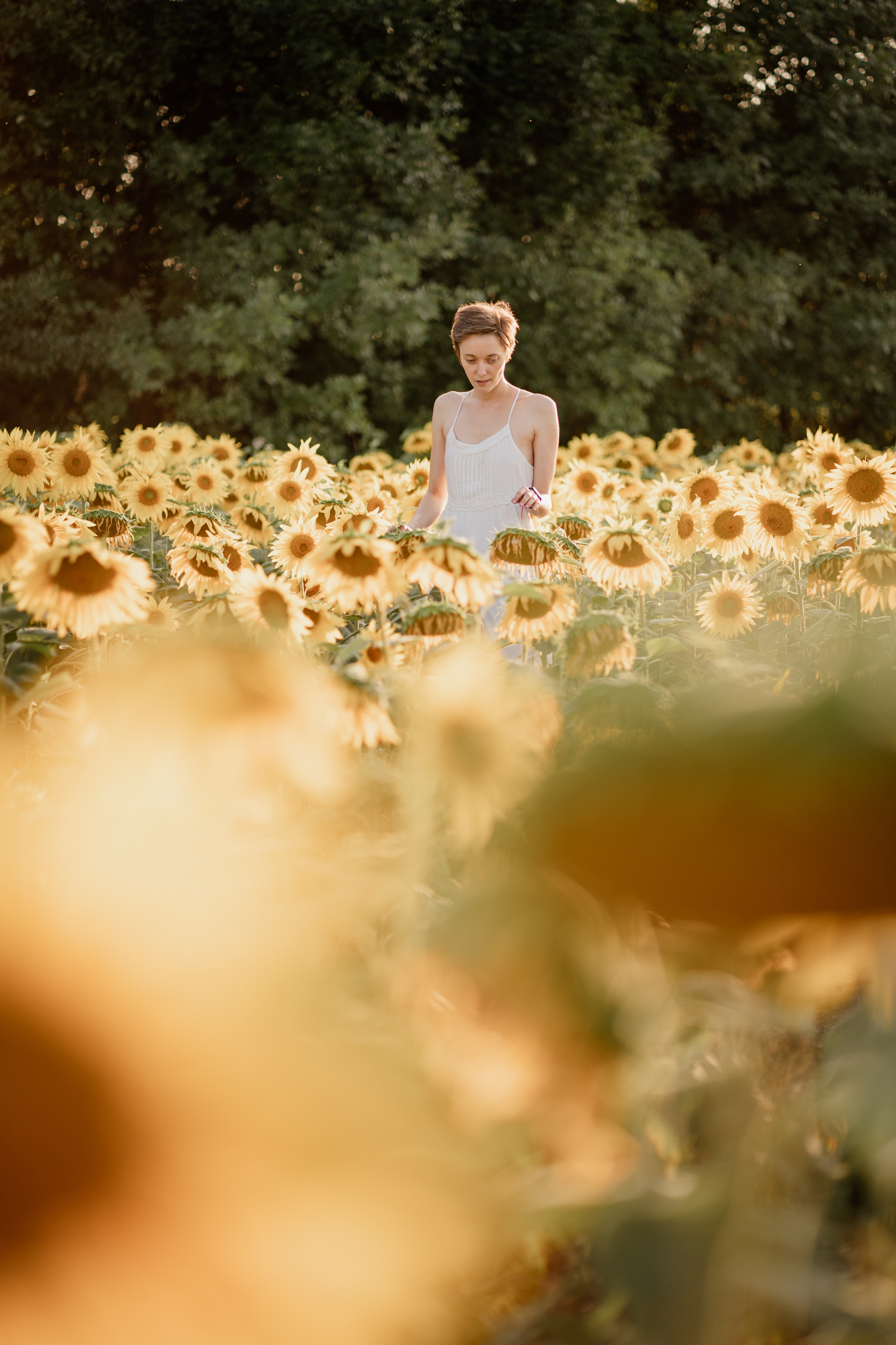 Анна и подсолнухи. Мира Назарова / Фотограф / Специалист по личному