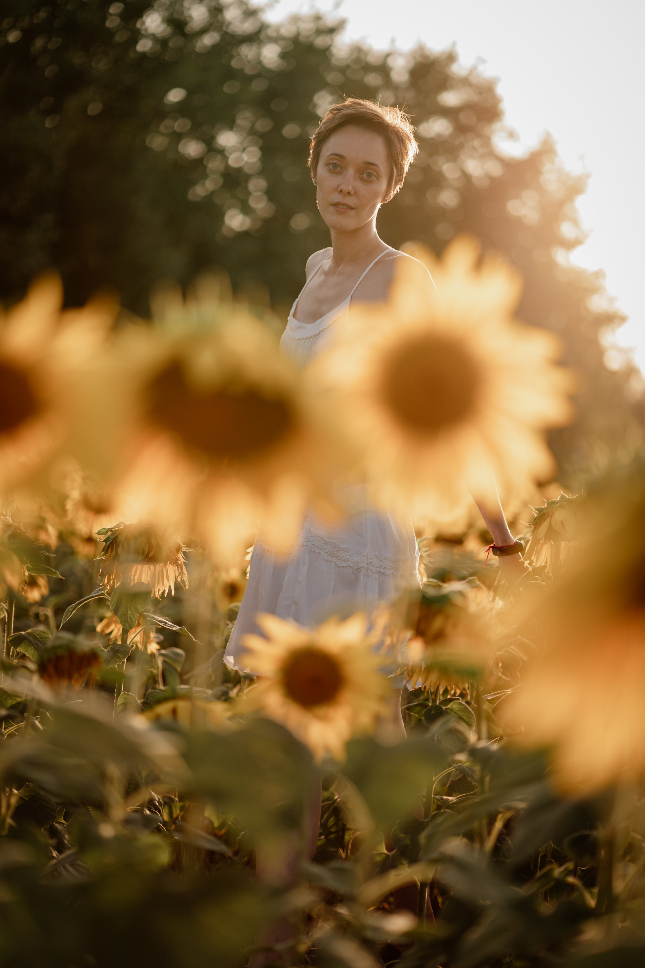 Анна и подсолнухи. Мира Назарова / Фотограф / Специалист по личному