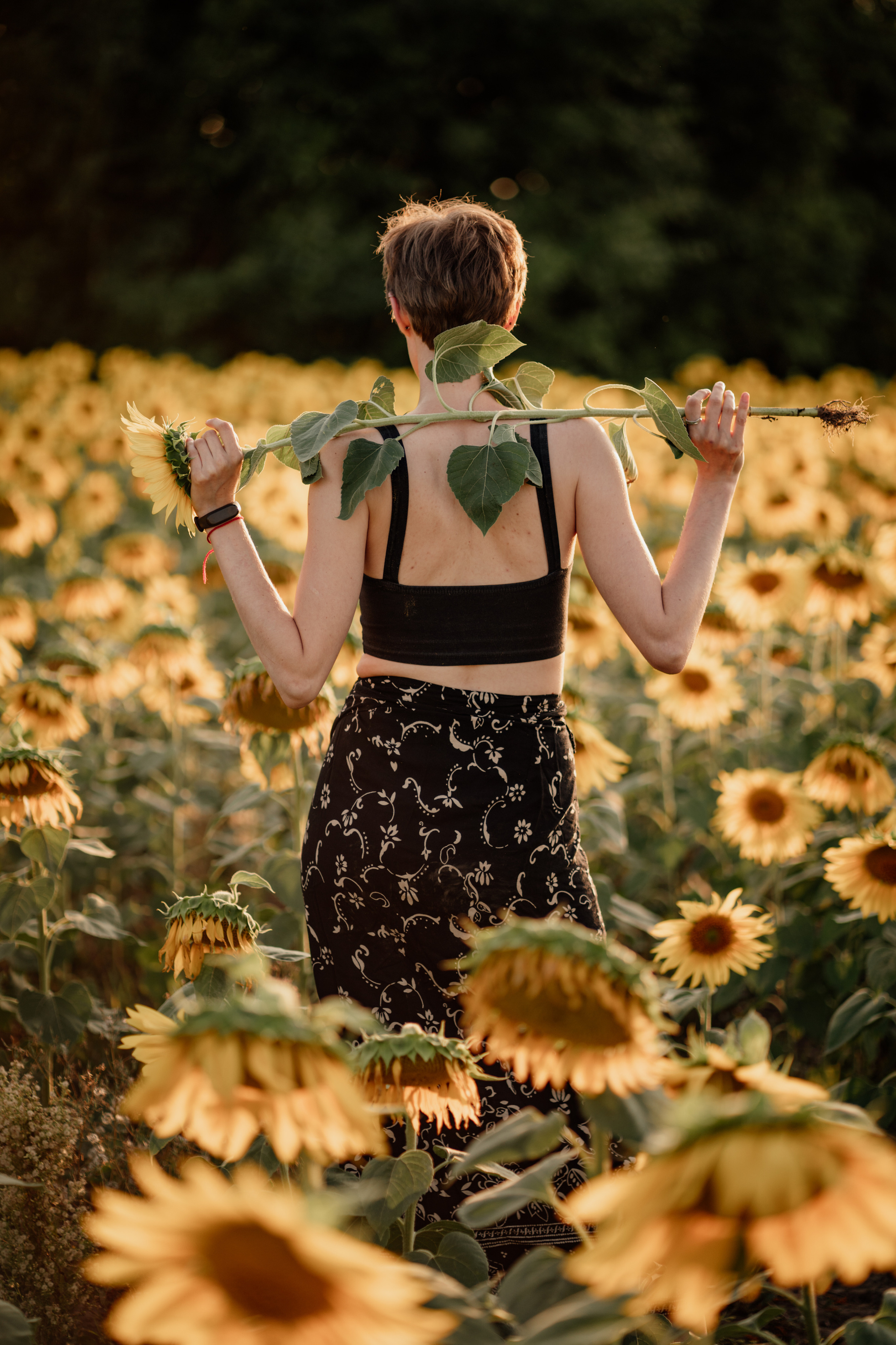 Анна и подсолнухи. Мира Назарова / Фотограф / Специалист по личному